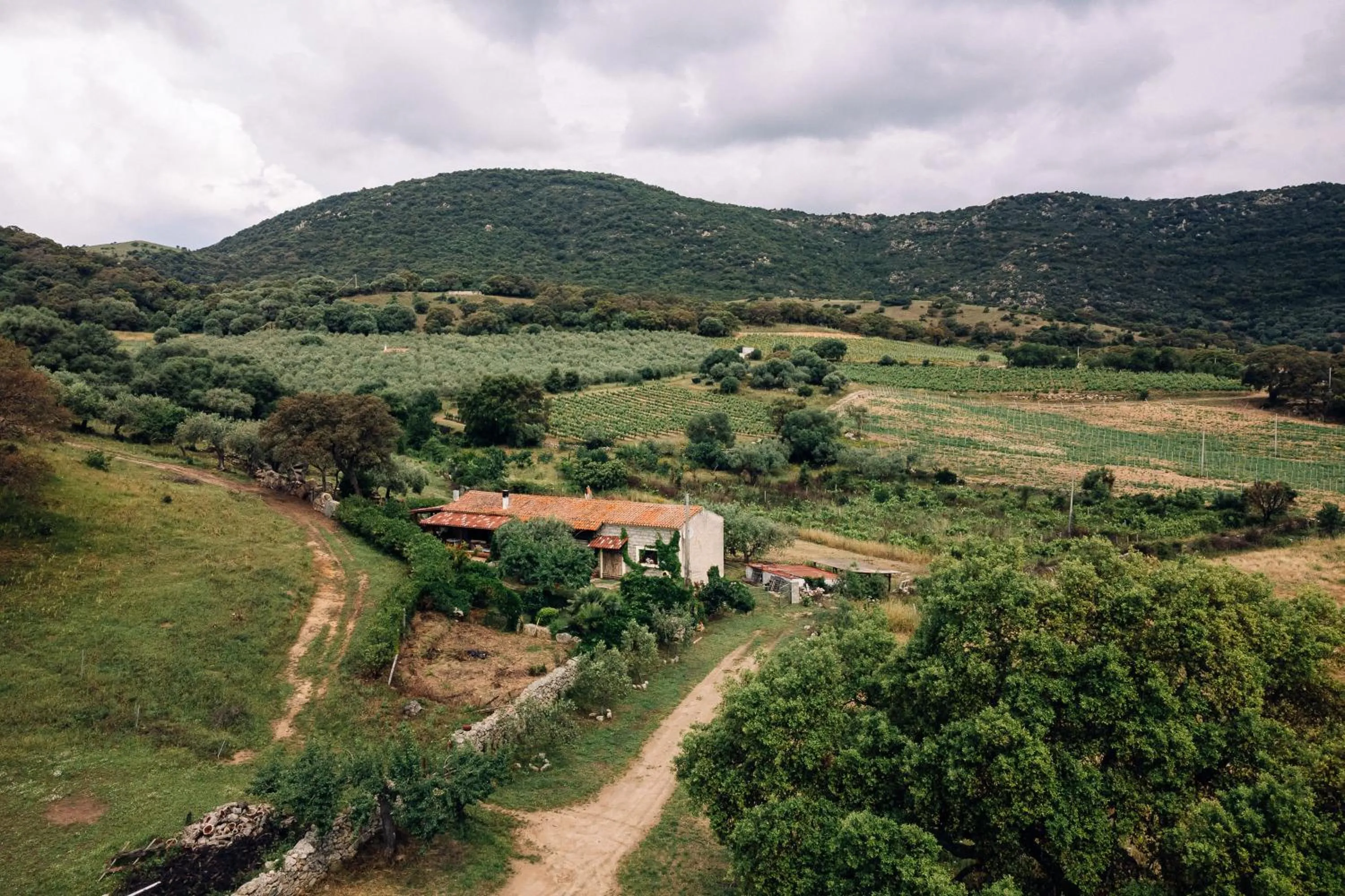 Balcony/Terrace in B&B San Michele