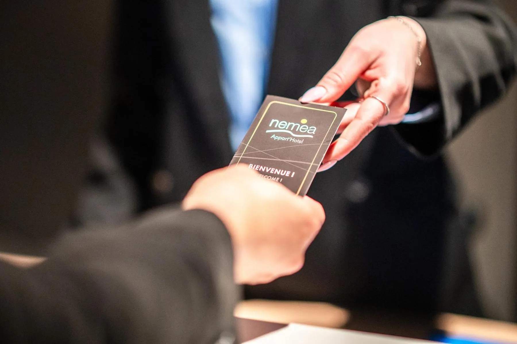 Nemea Appart Hotel Coeur Europe Strasbourg Illkirch