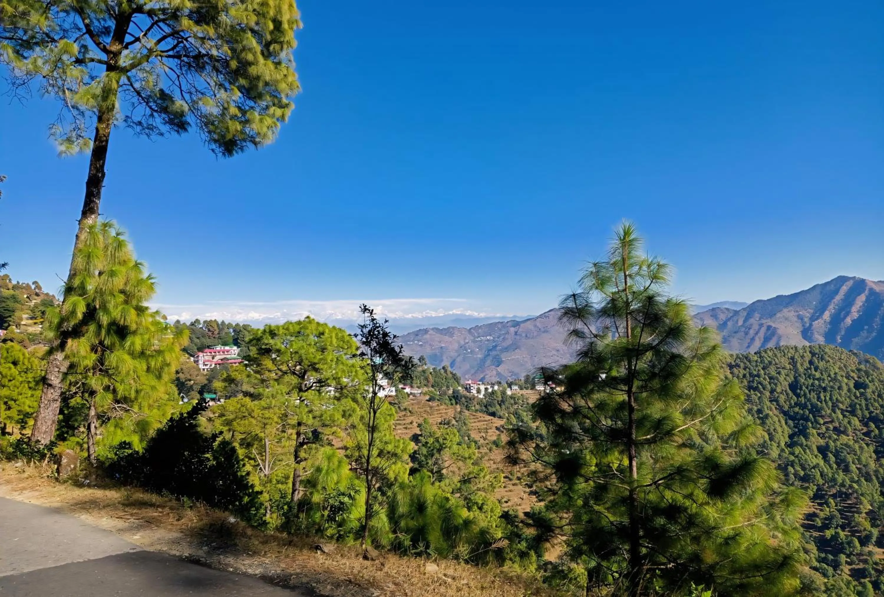 Nearby landmark in Green Palms Rubystone Exotic