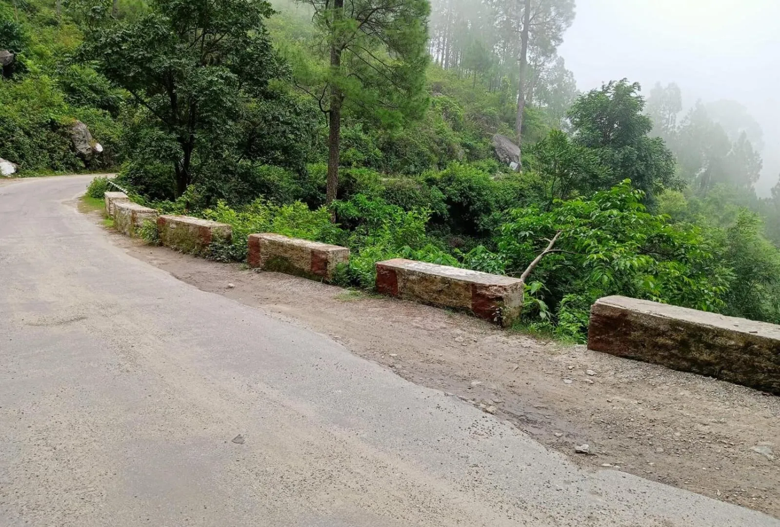 Day in Green Palms Rubystone Exotic