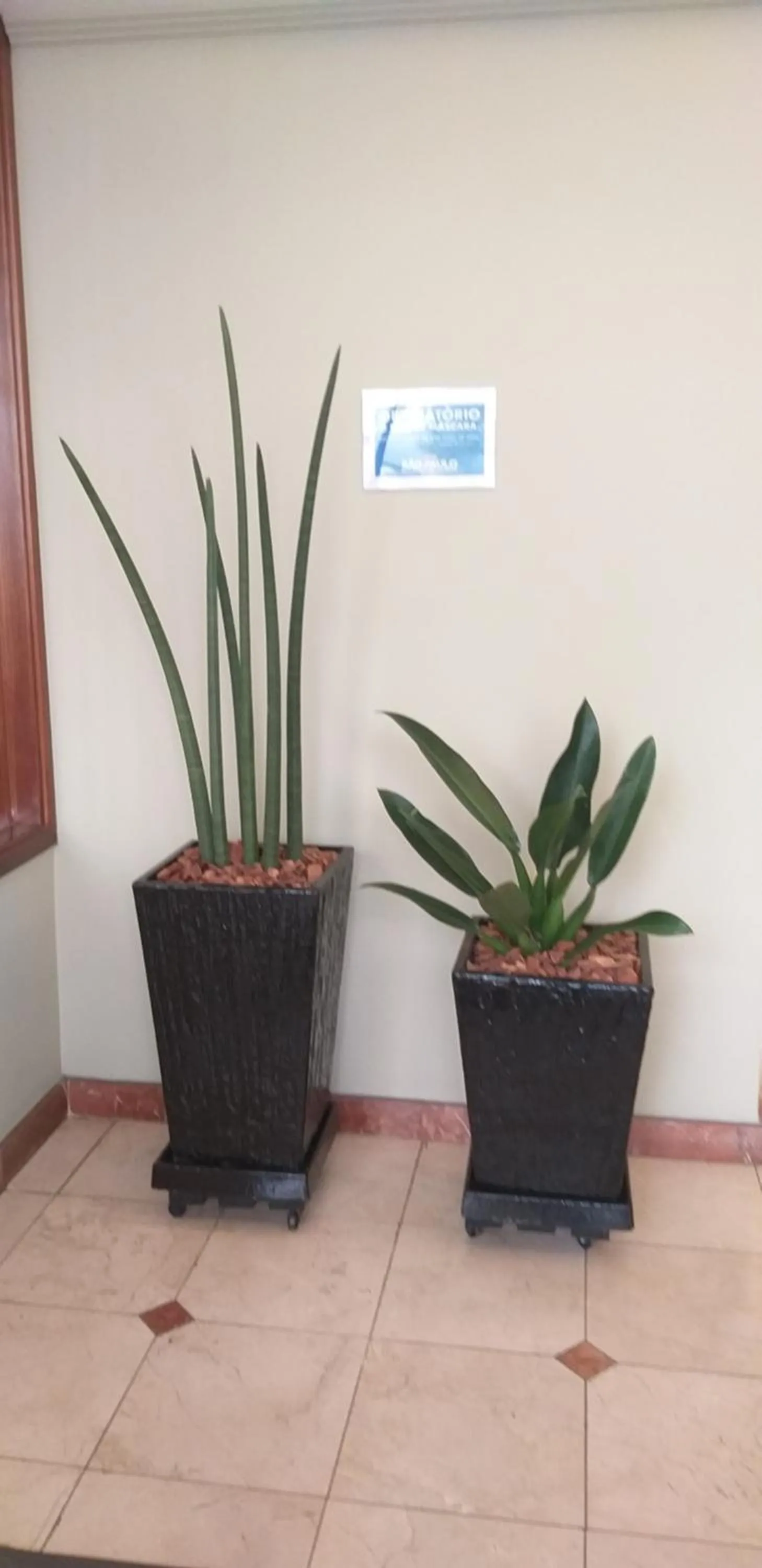 Property building in Hotel Moncloa