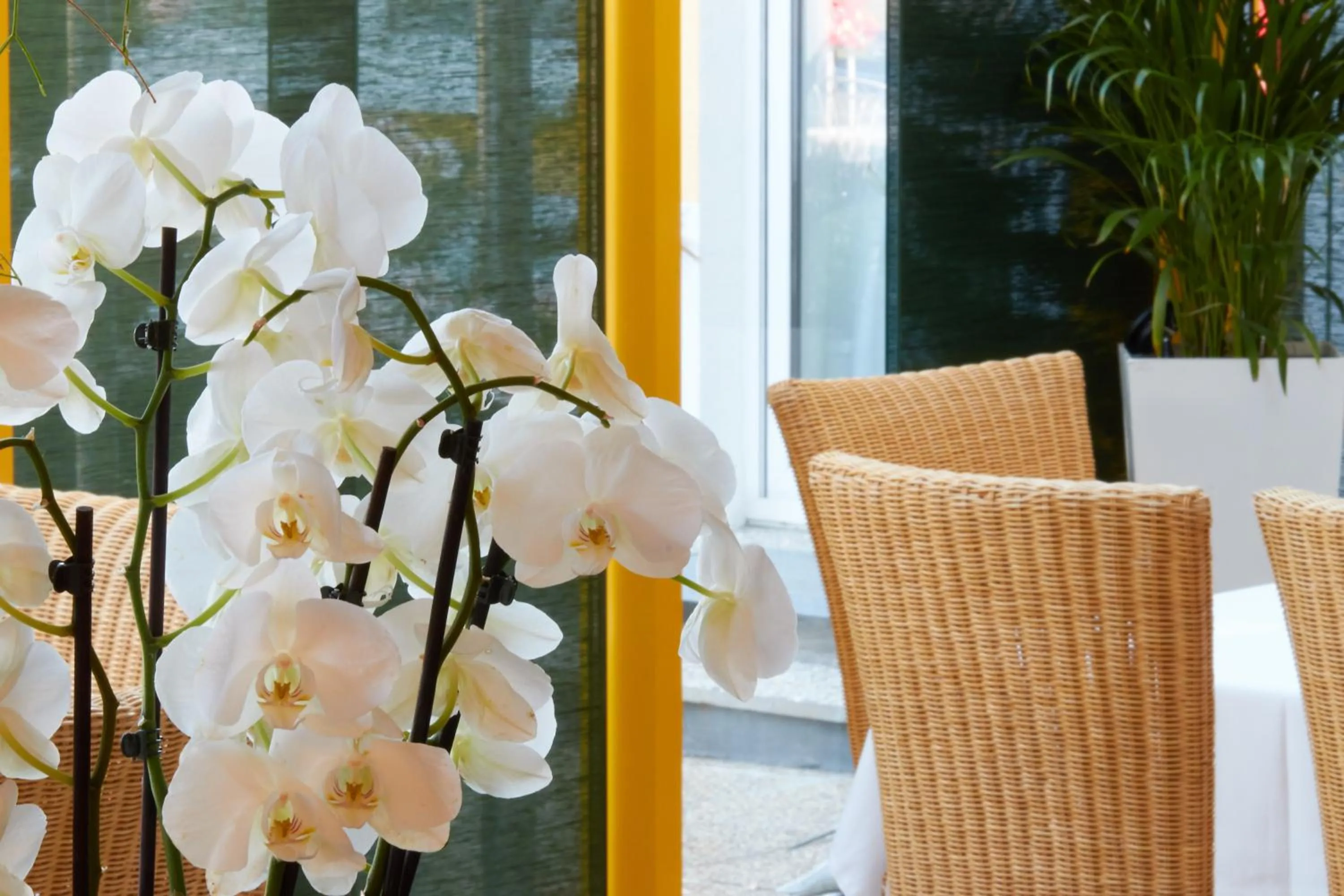 Restaurant/places to eat in Hotel & Restaurant Seehof