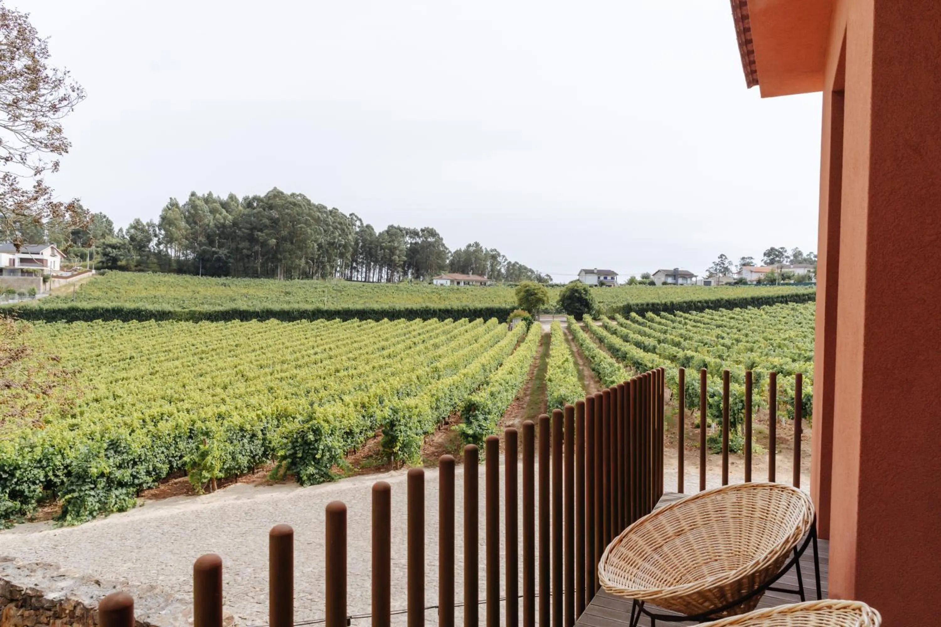 View (from property/room) in Monverde - Wine Experience Hotel - by Unlock Hotels