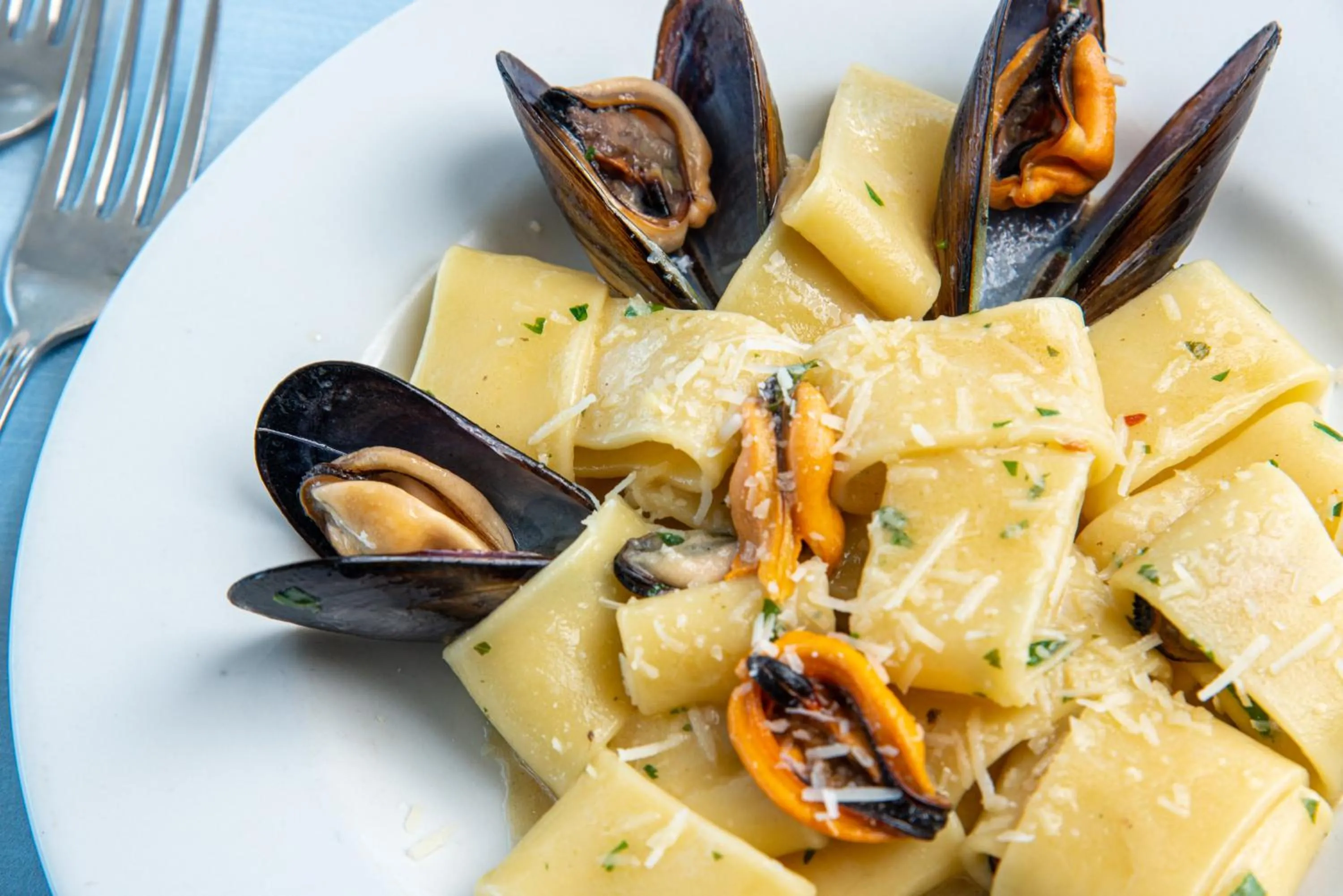 Restaurant/places to eat in Hotel Albatros