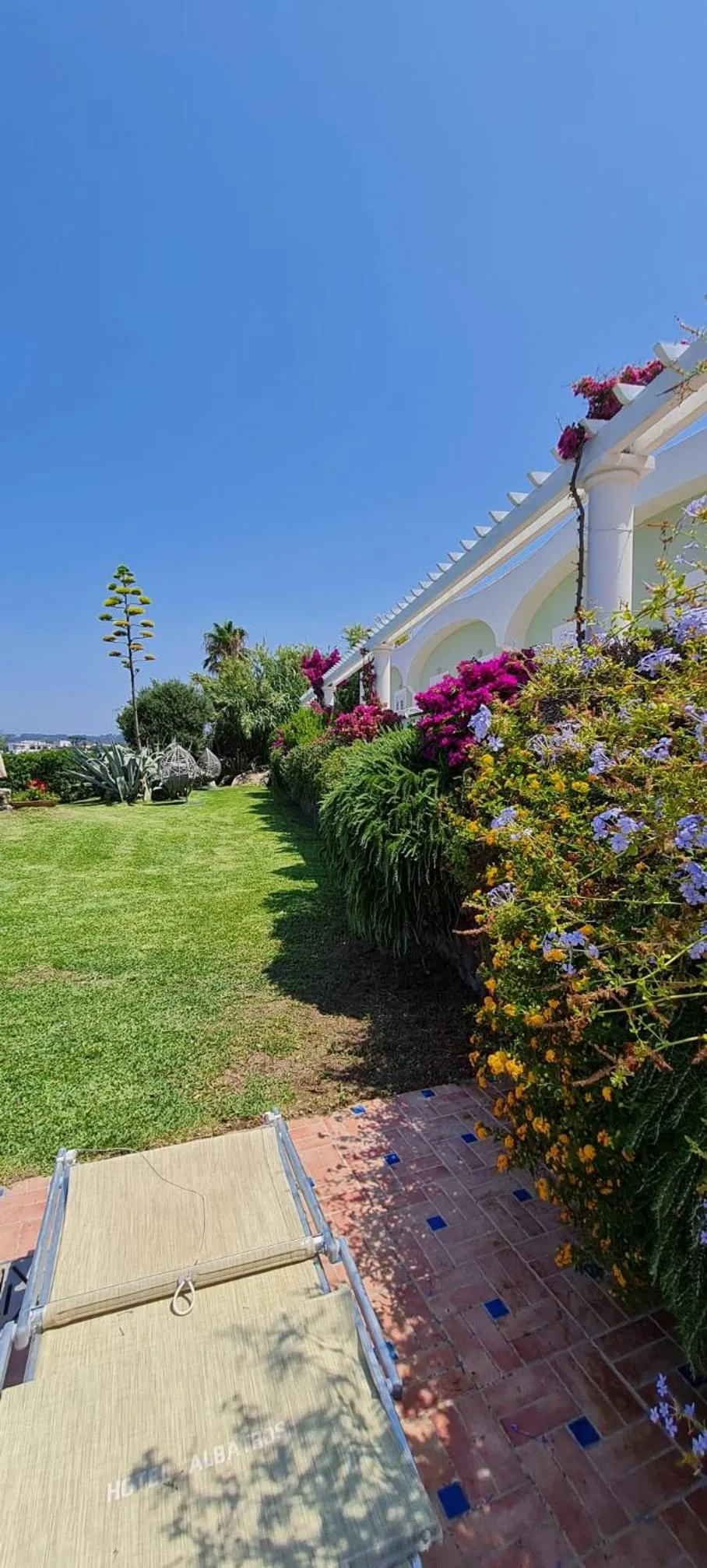 Garden in Hotel Albatros