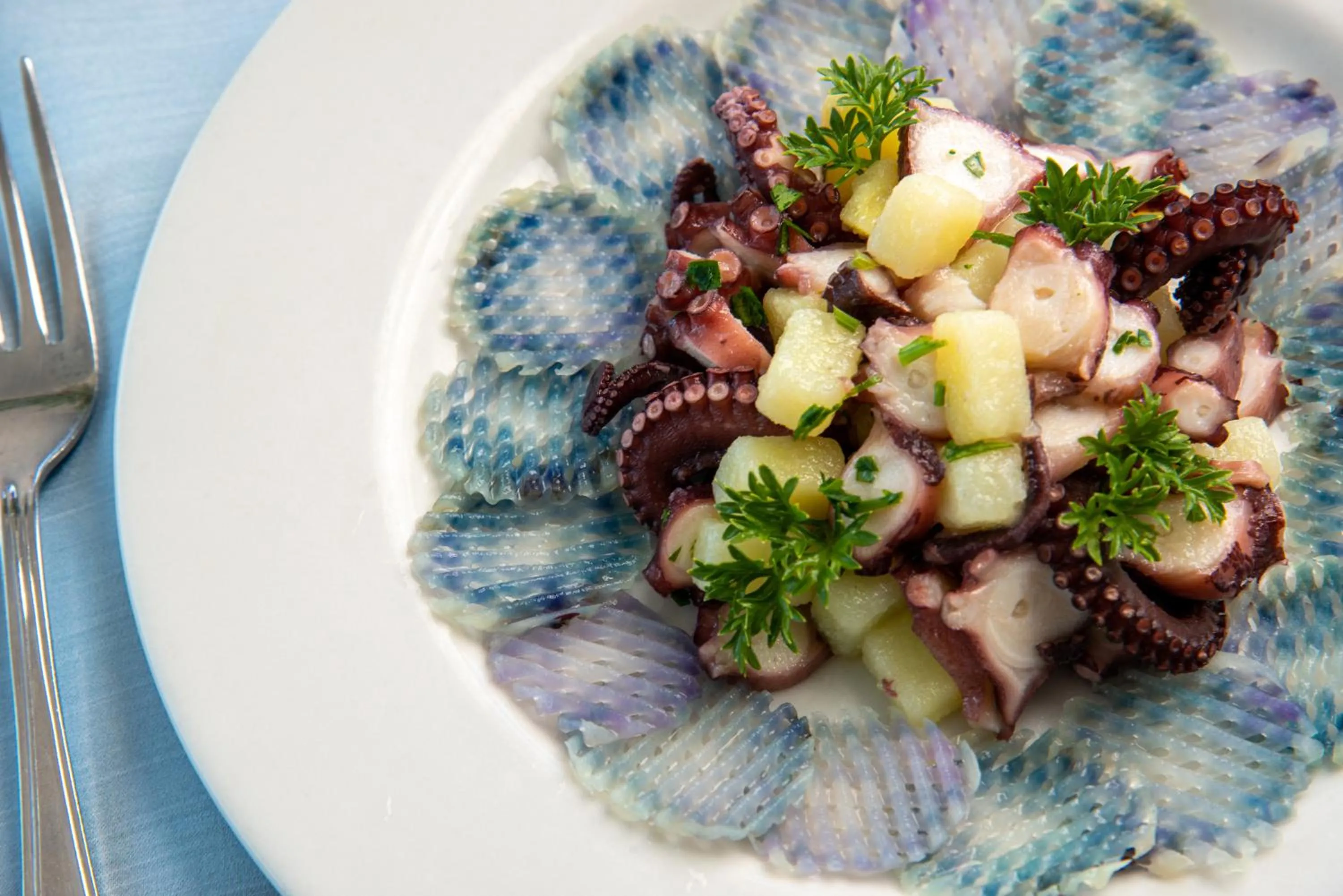 Restaurant/places to eat in Hotel Albatros