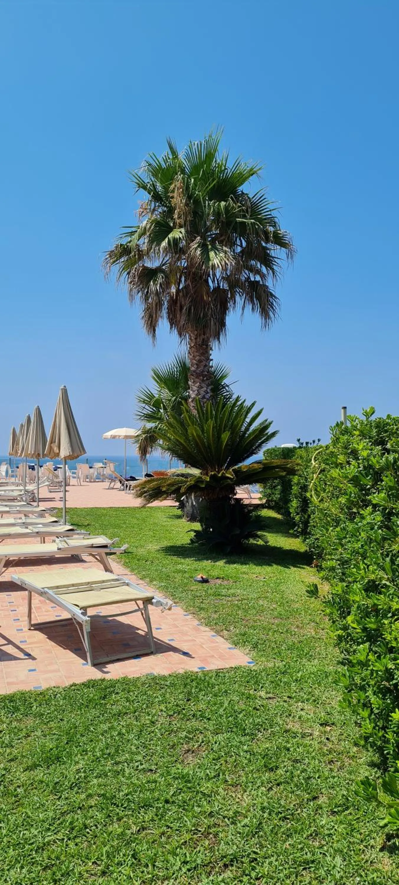 Garden view in Hotel Albatros