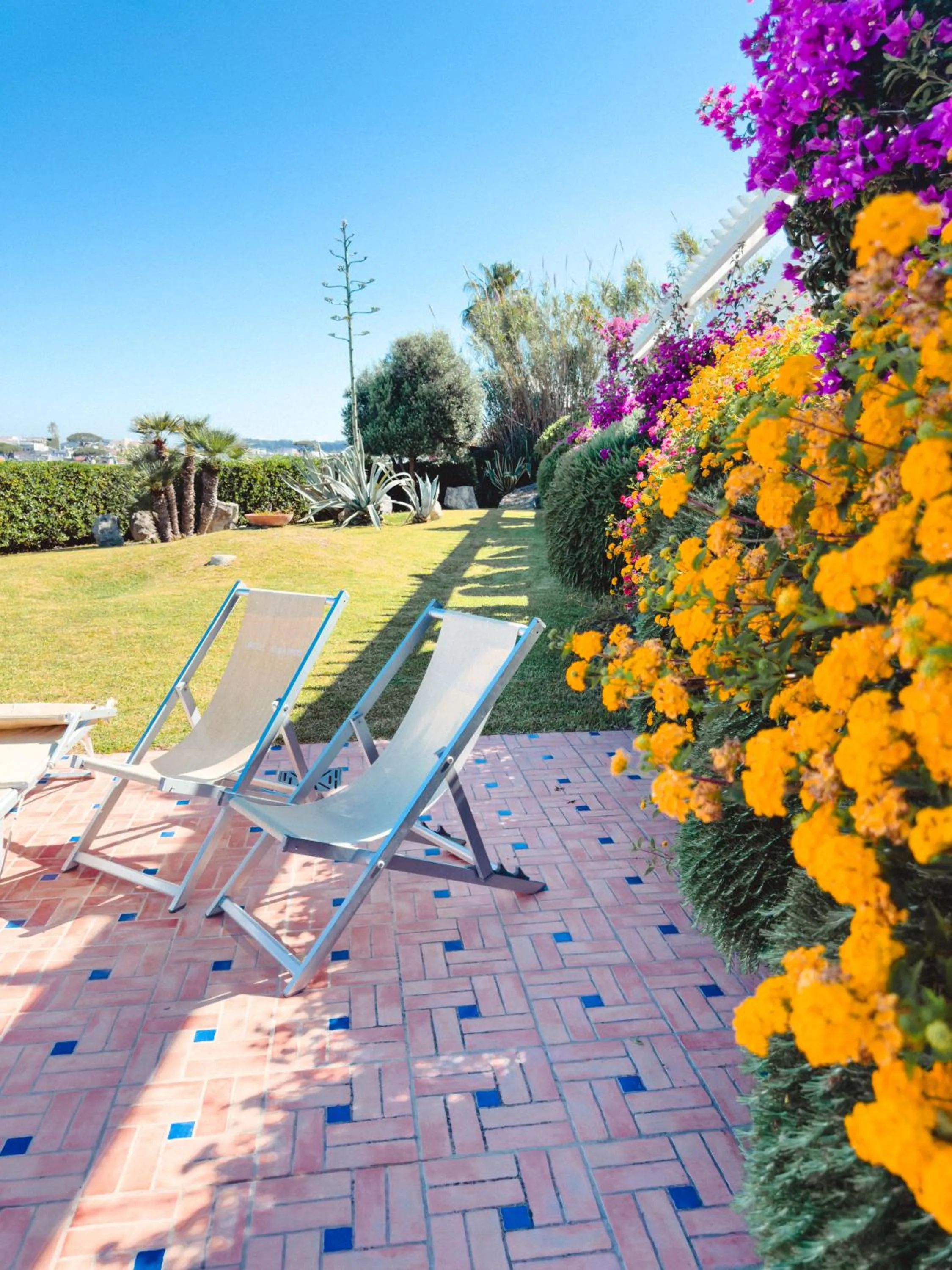 Natural landscape in Hotel Albatros