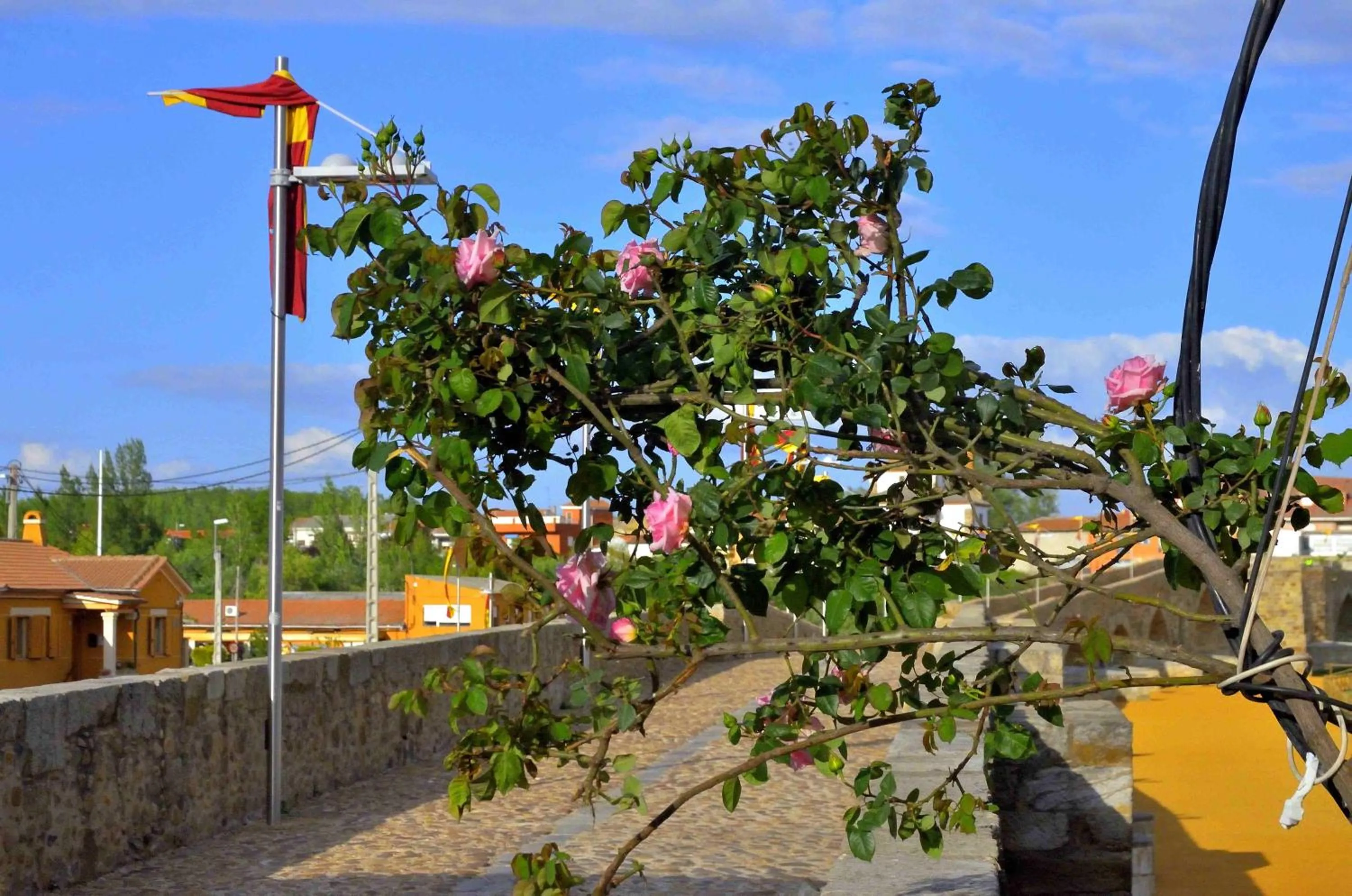 Landmark view in Hostal Don Suero de Quiñones