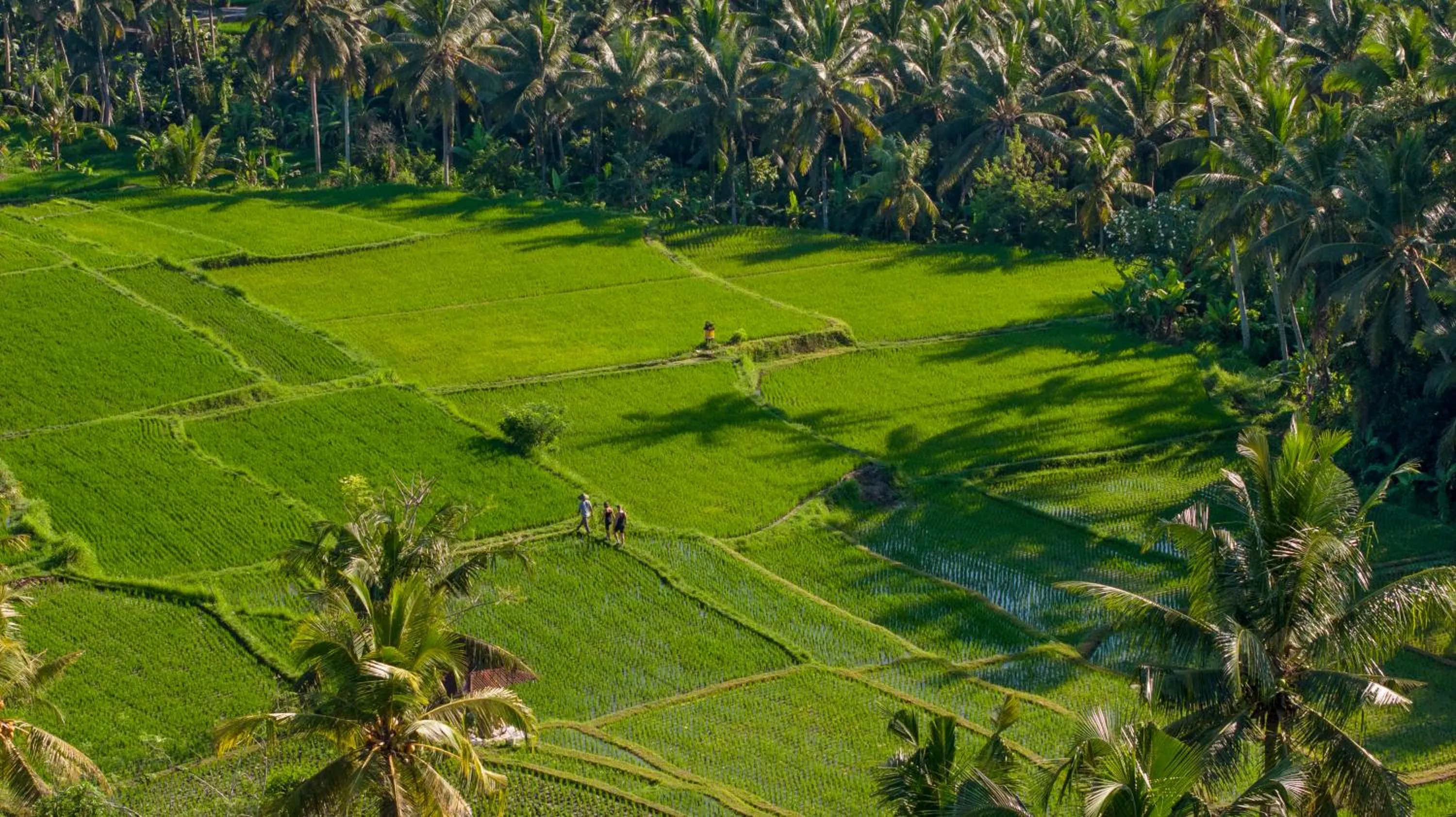 Other in Edge of Ubud by GenuineHost