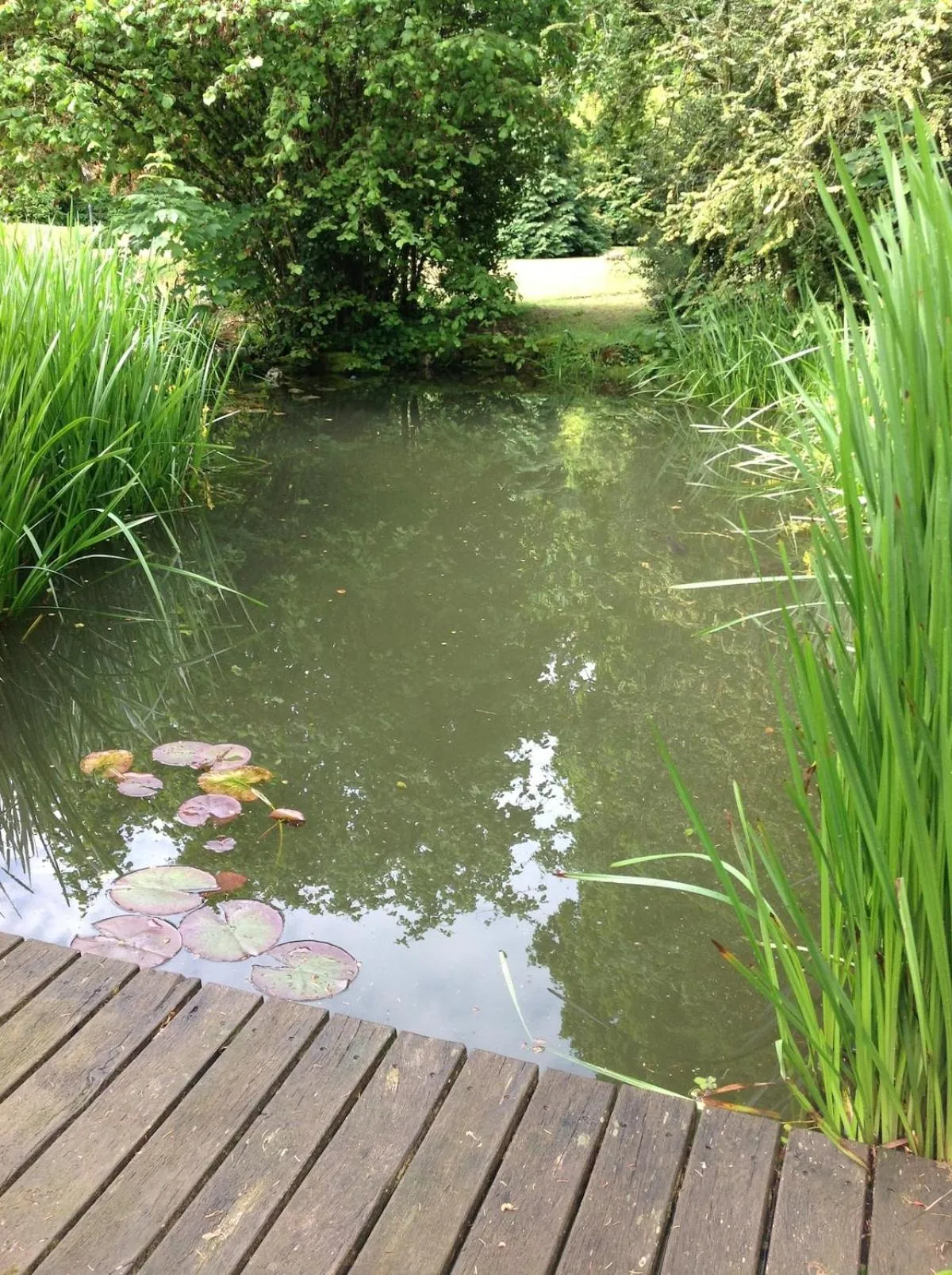 Spring in MaisonMazerand