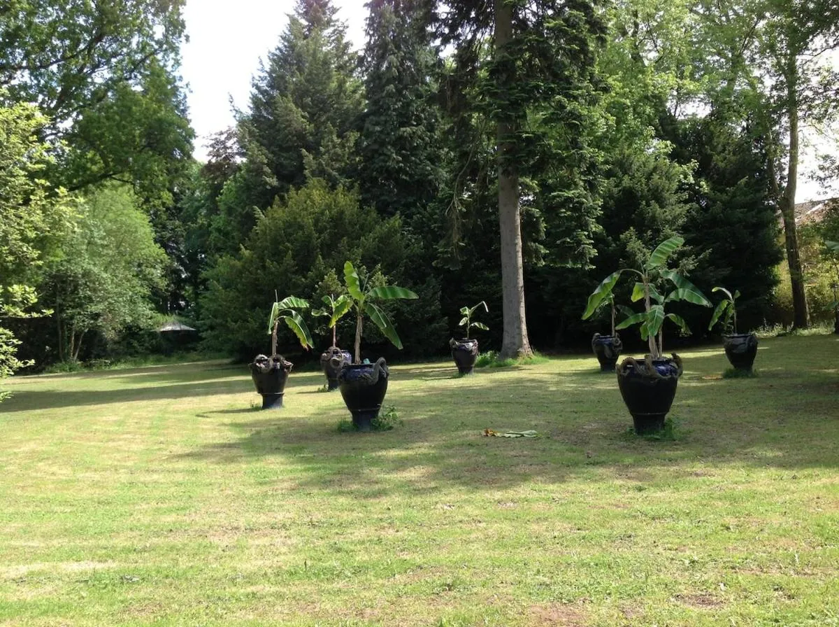 Garden in MaisonMazerand