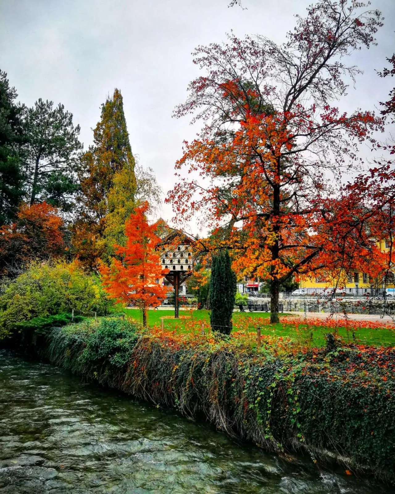 Activities in Campanile Annecy Centre - Gare