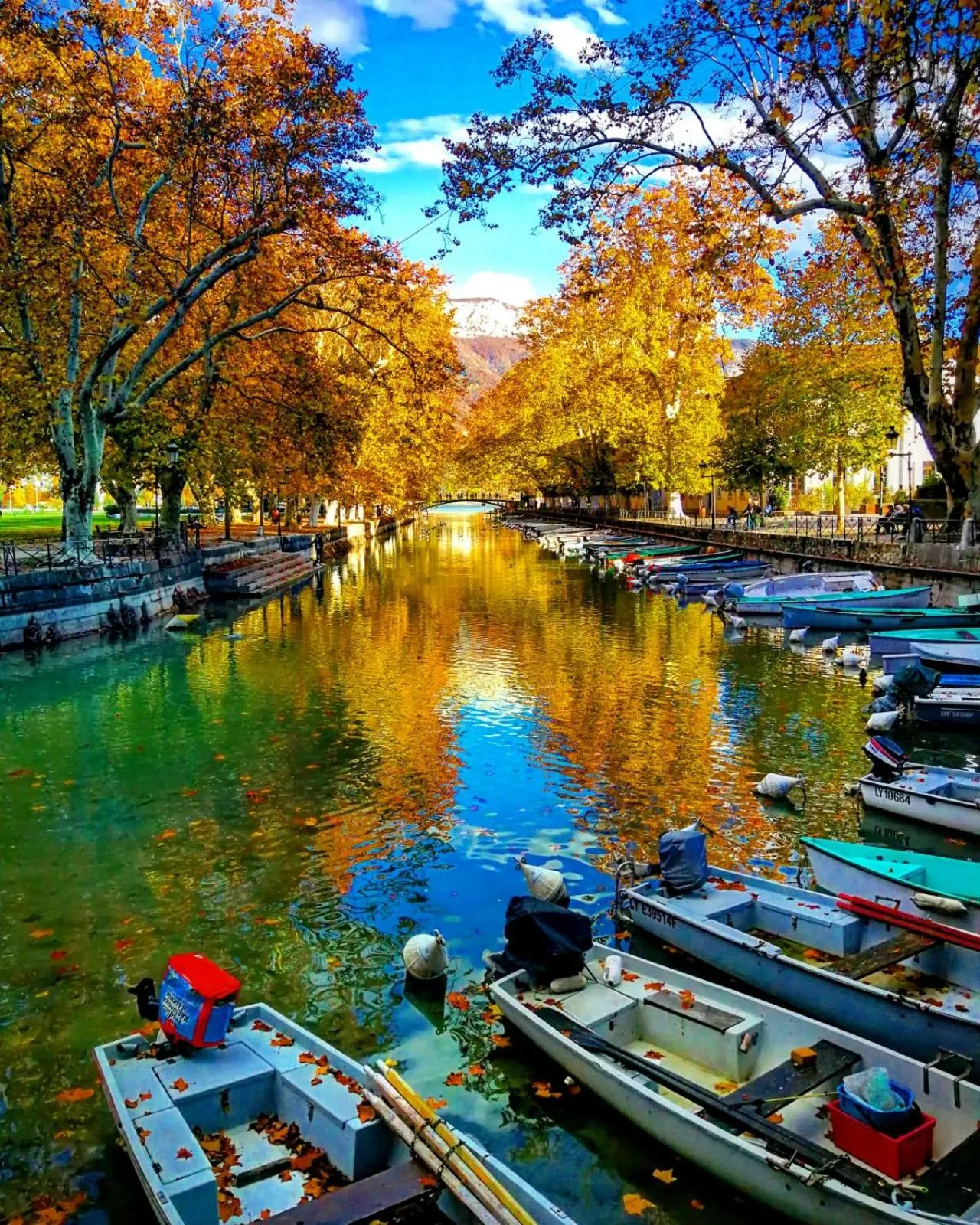 Activities in Campanile Annecy Centre - Gare