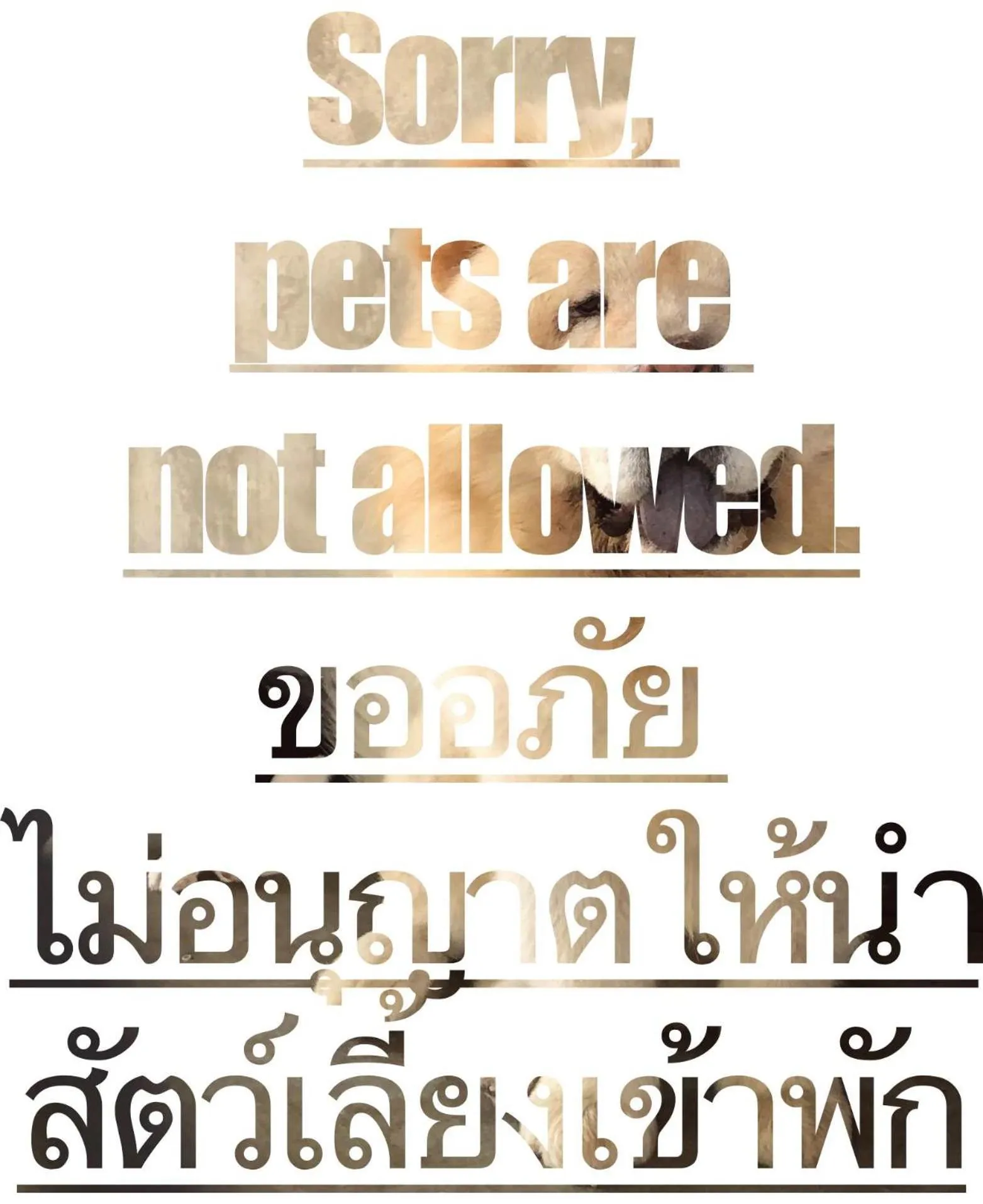 Resort Railumpoo (Farm and Camping)