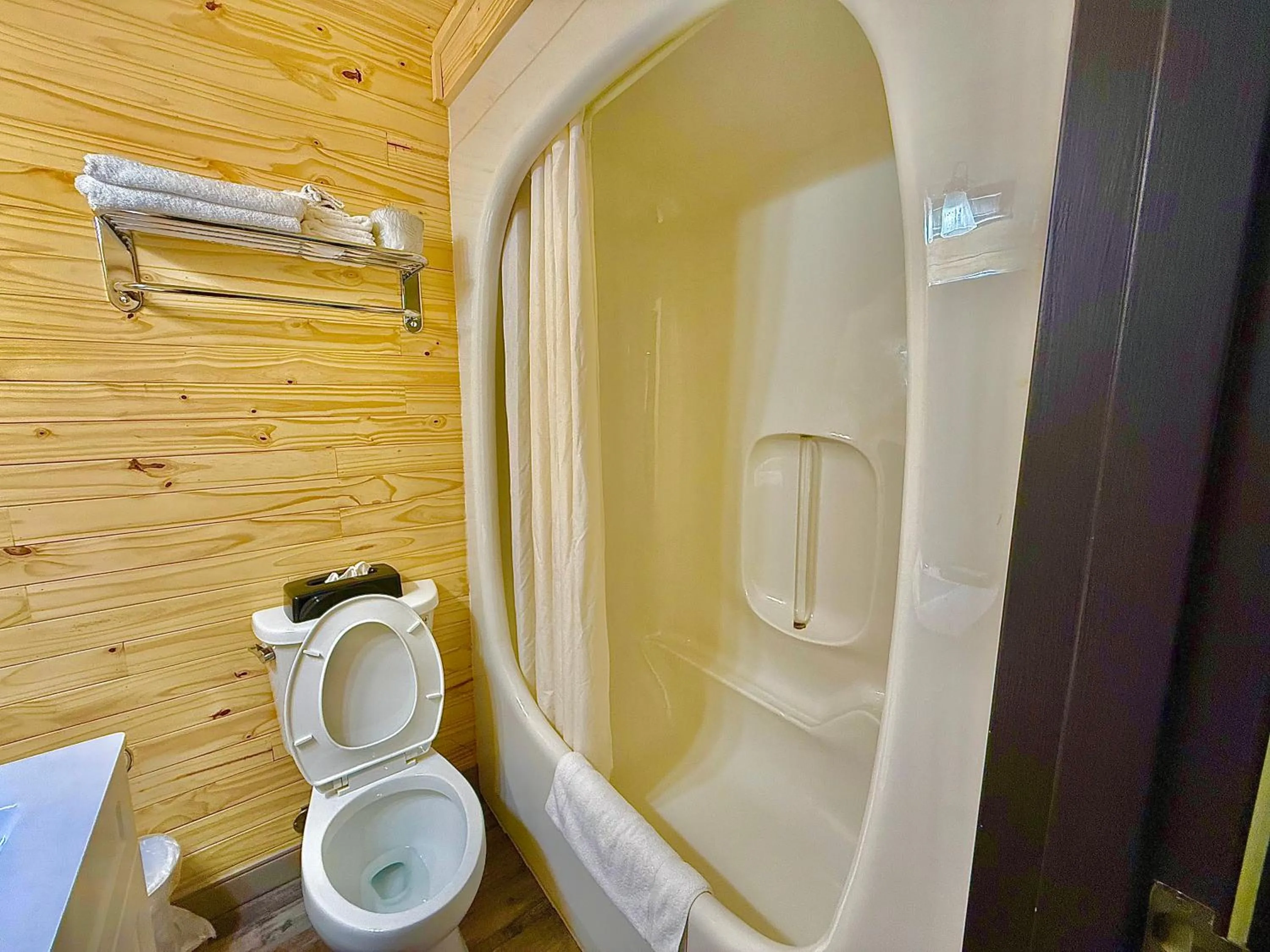 Shower in Quality Inn Fort Frances