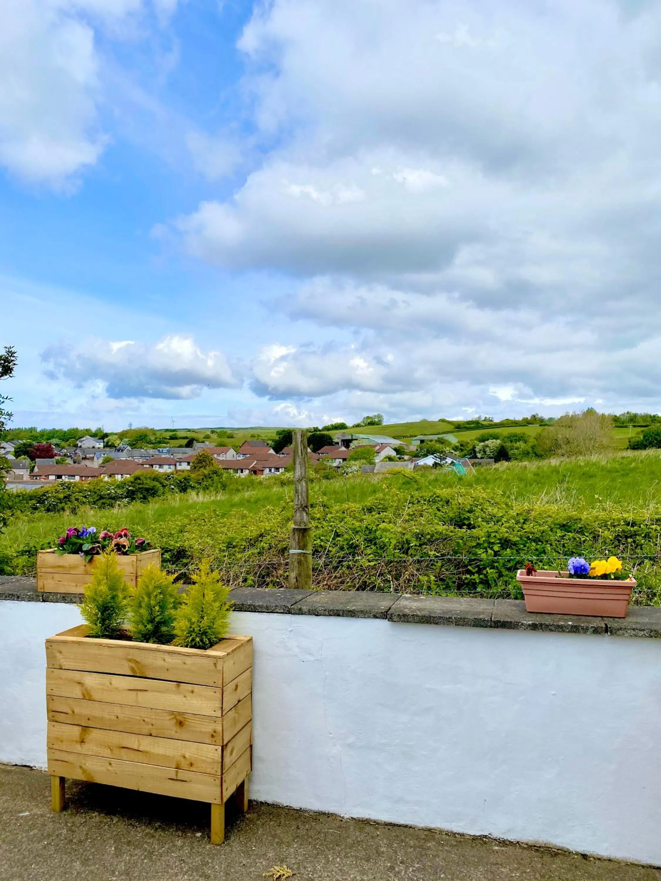 Garden in Number 19 Guesthouse