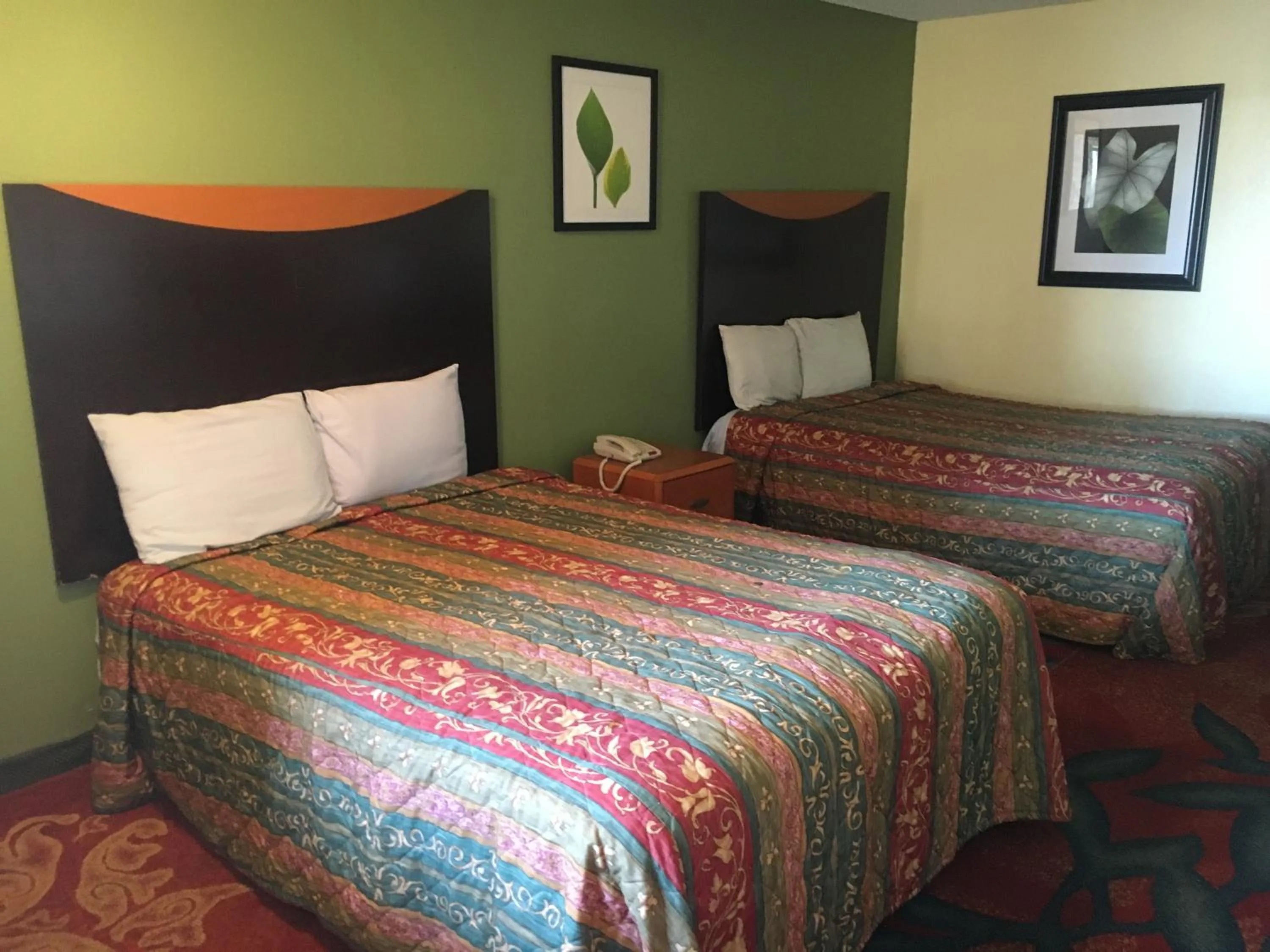 Bed in Executive Inn Odessa