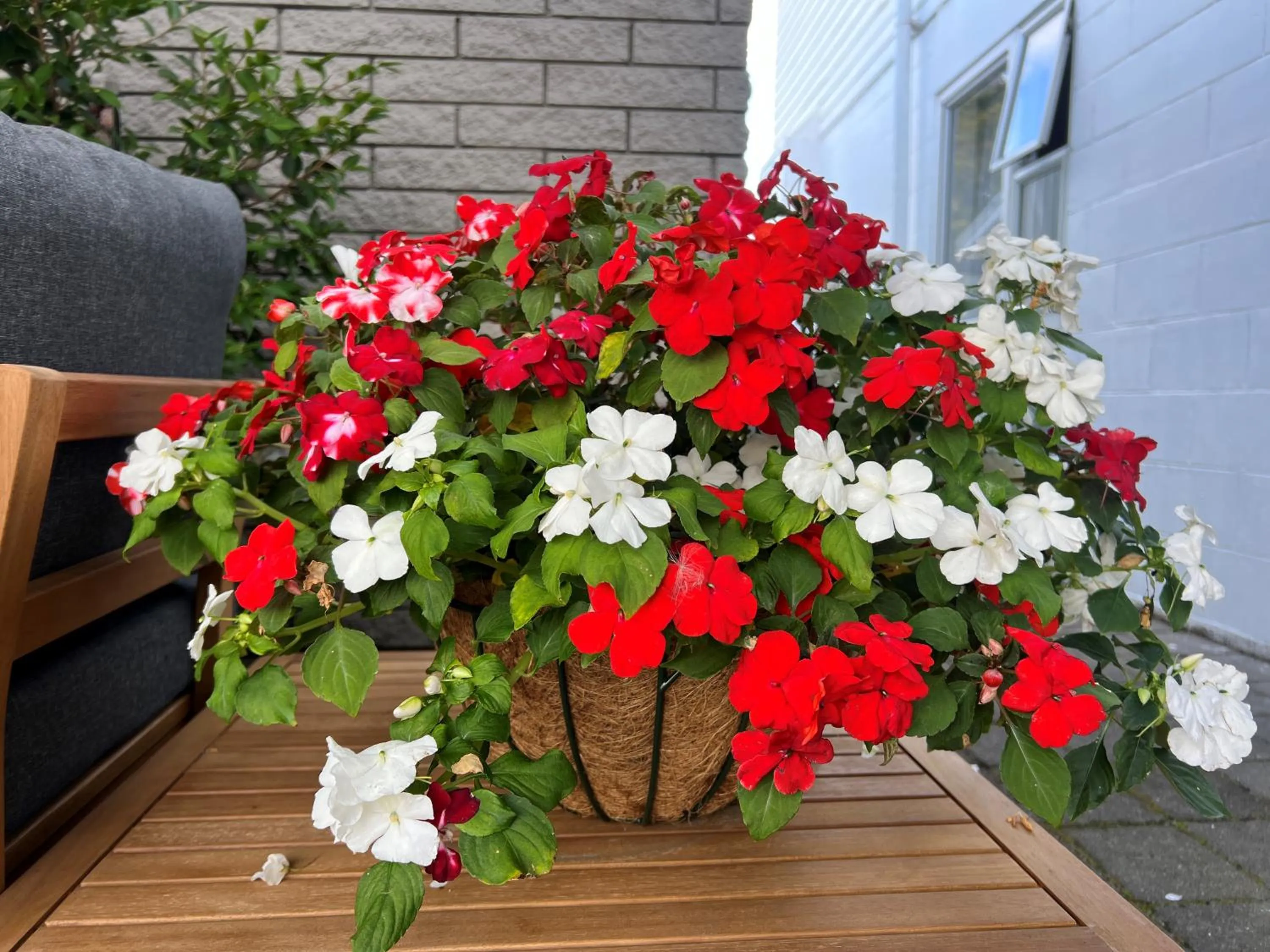 Property building in Ashbrook Motel Taupo