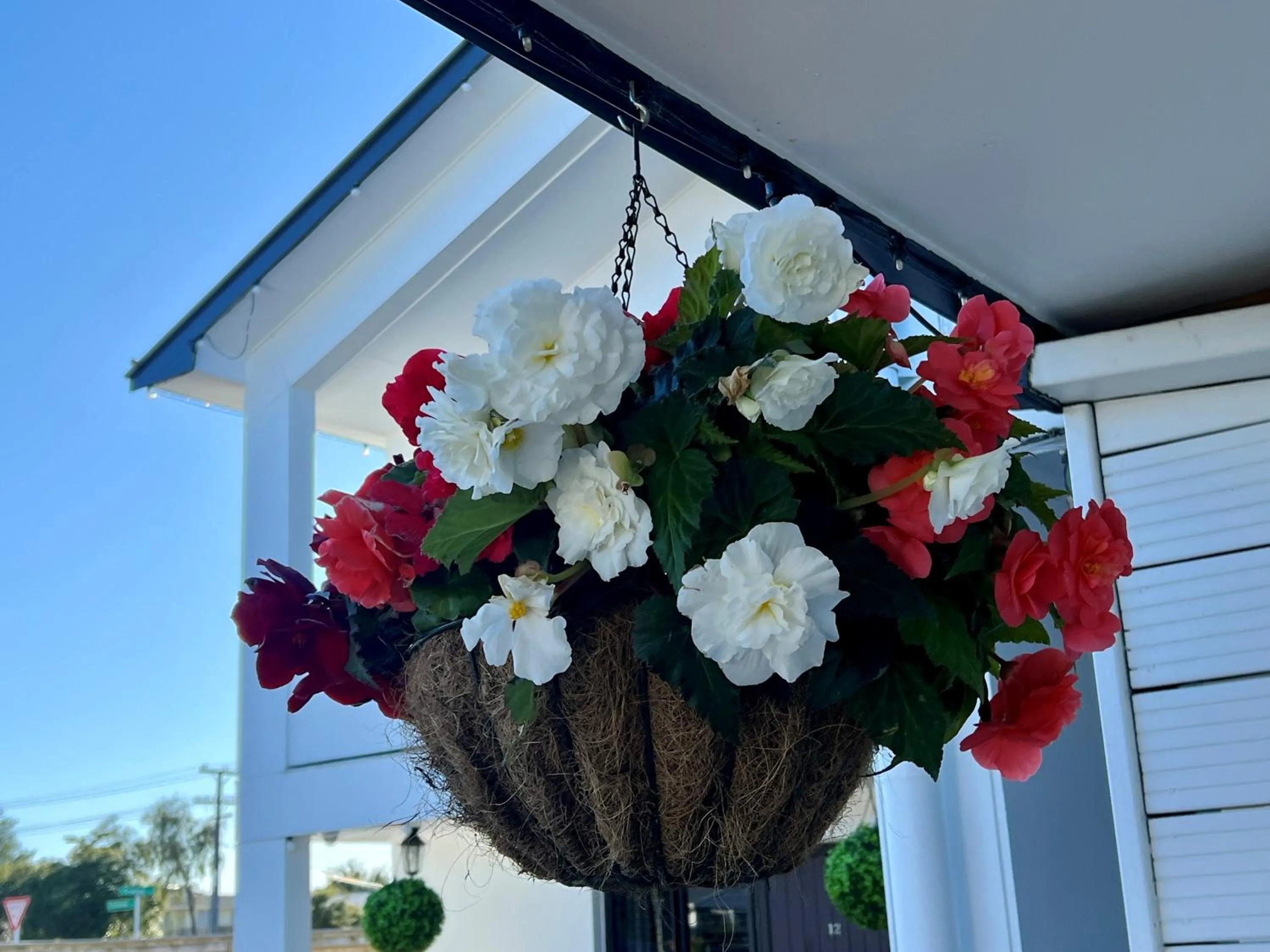 Property building in Ashbrook Motel Taupo