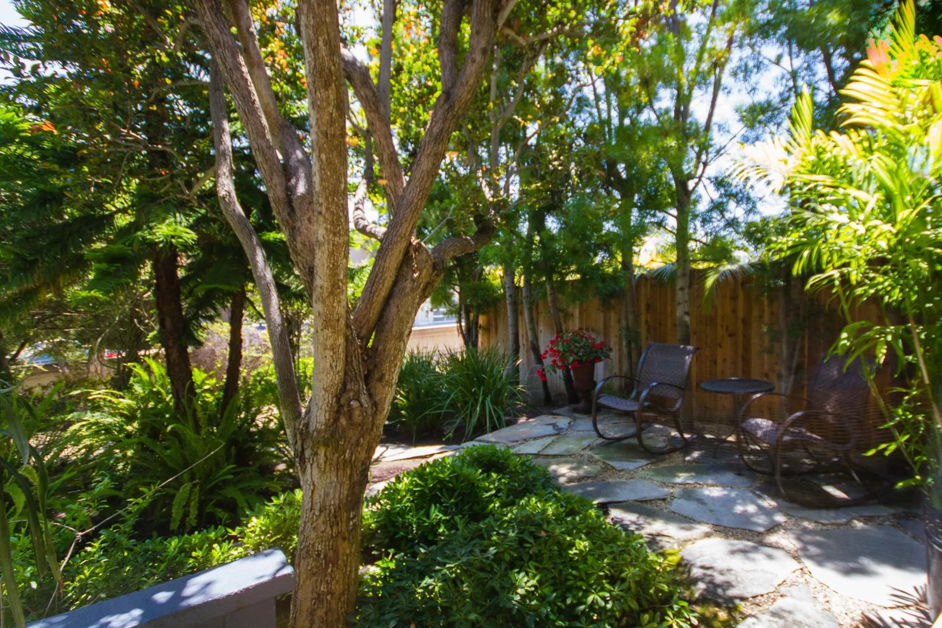 Patio in Arabella Laguna