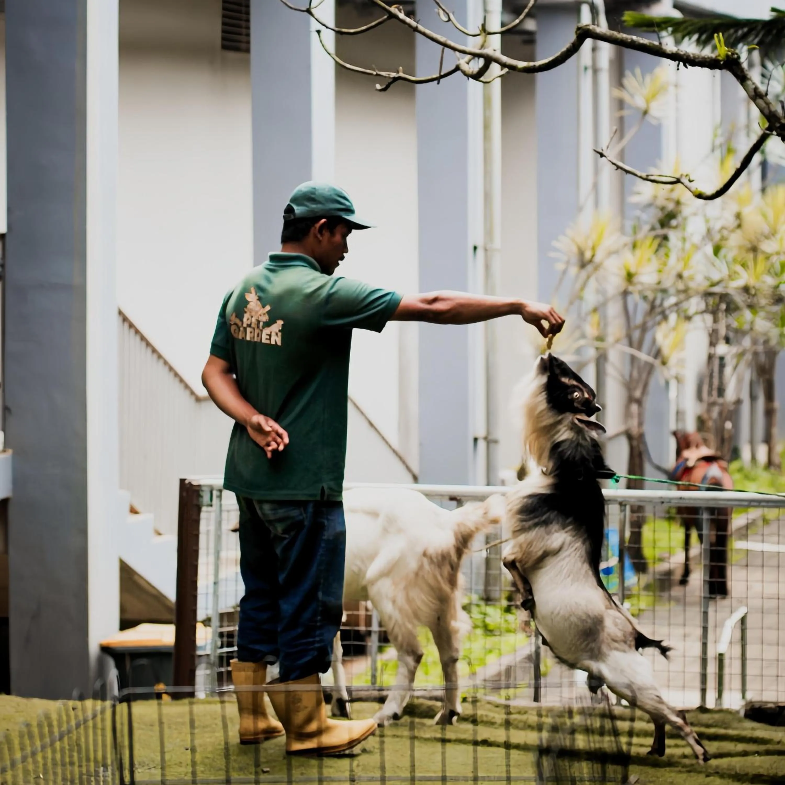 Activities in Pesona Alam Resort & Spa