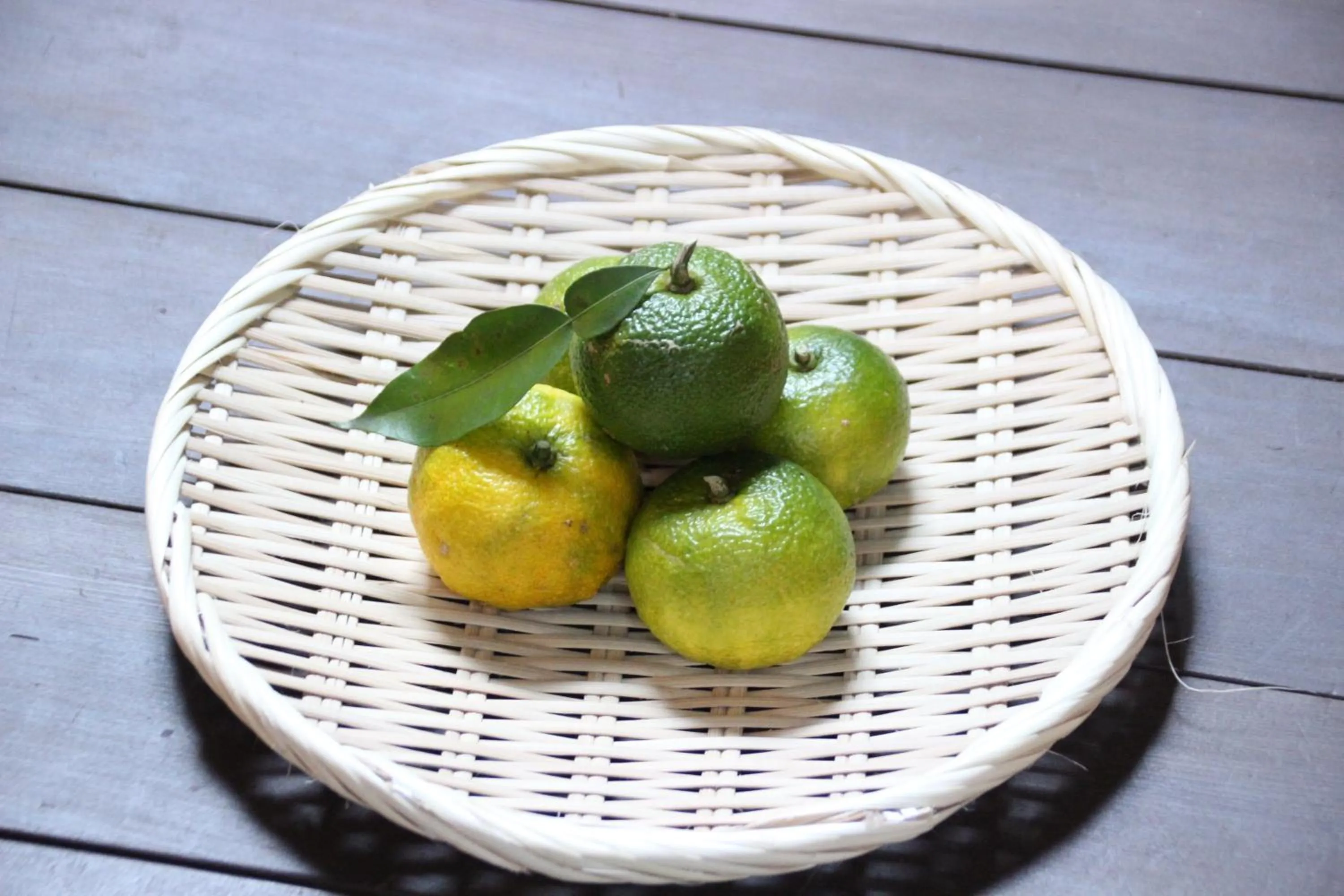 Seasons in HARUYA Umekoji