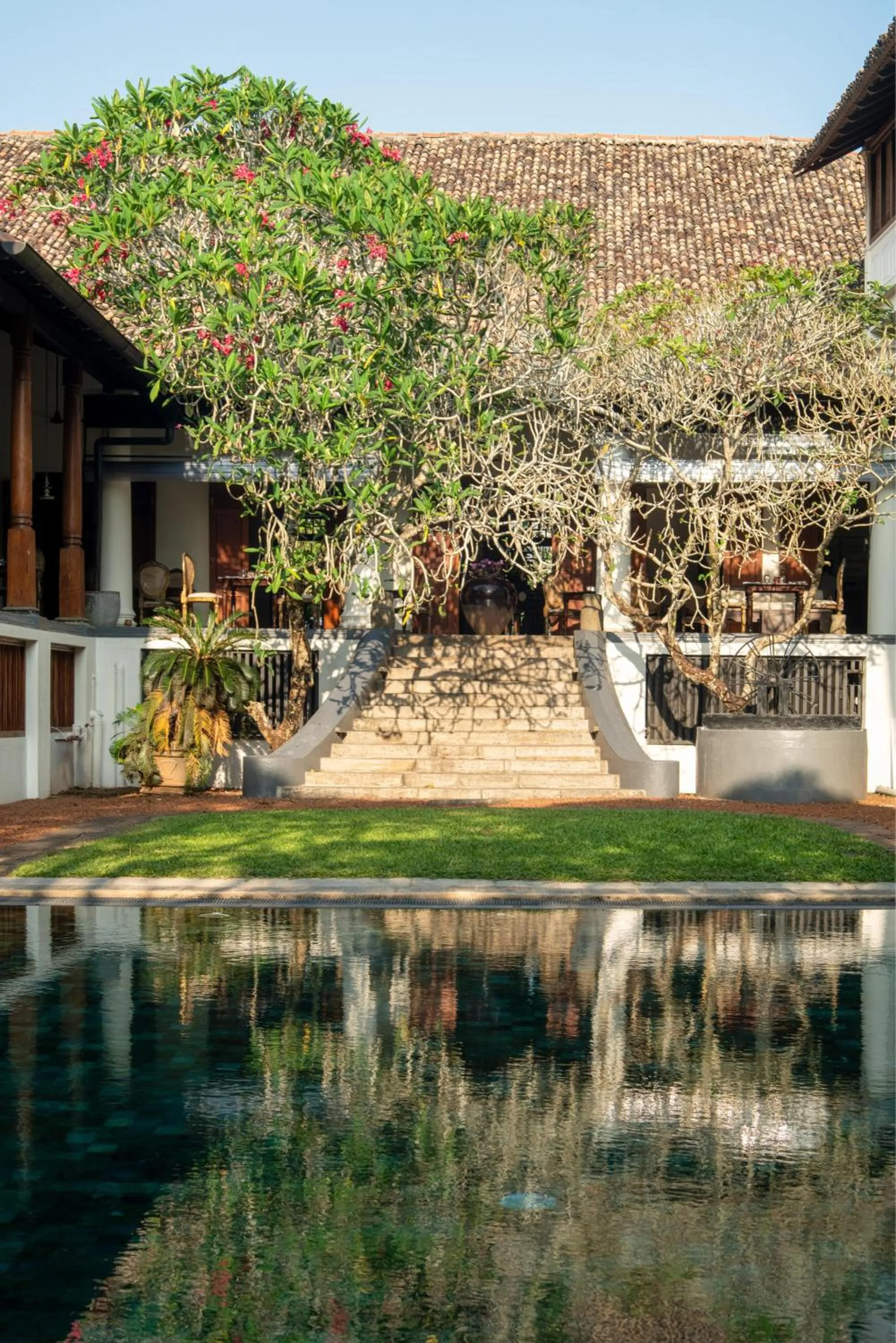 Garden in Galle Fort Hotel