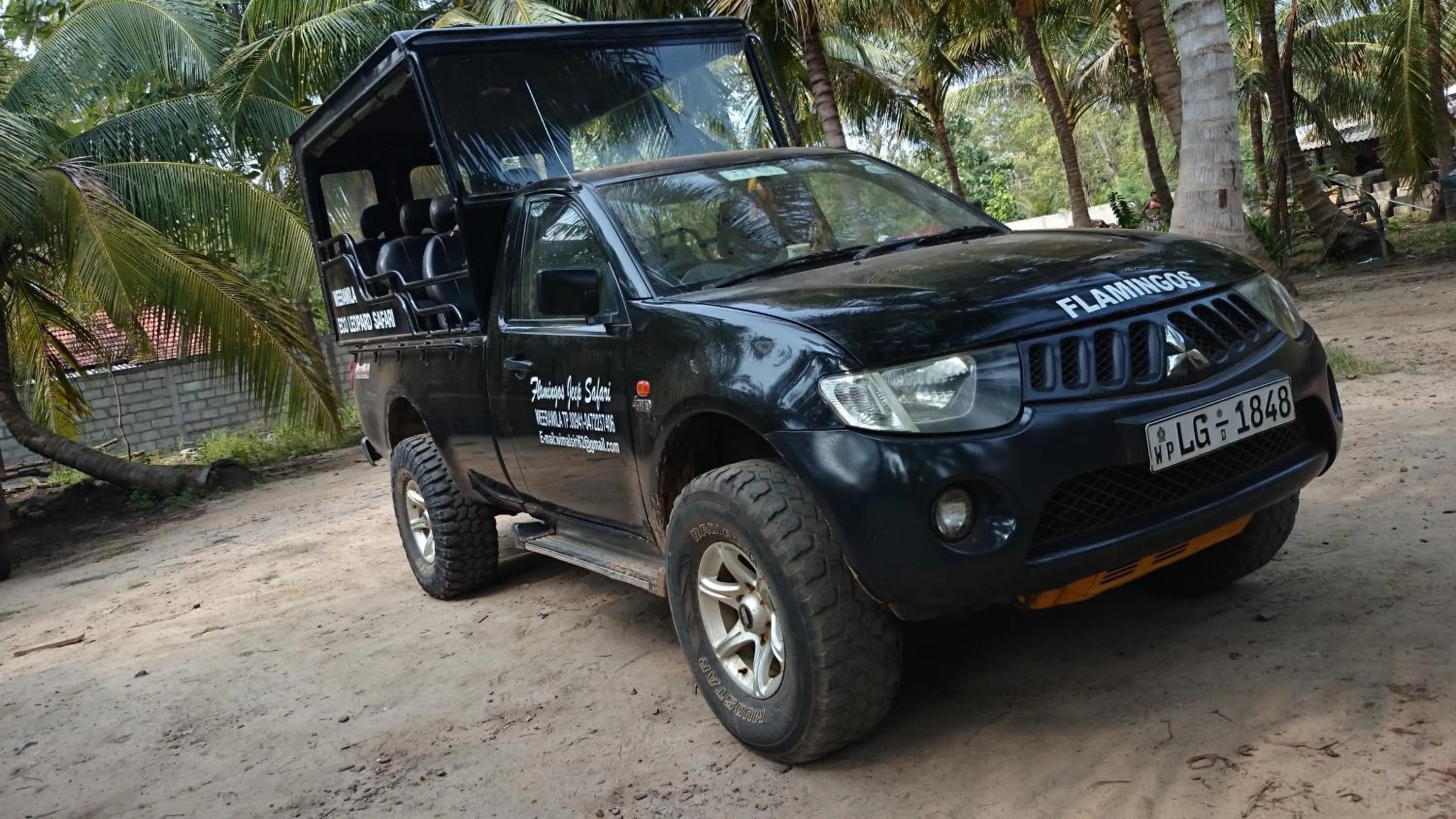 Activities in Wila Safari Hotel