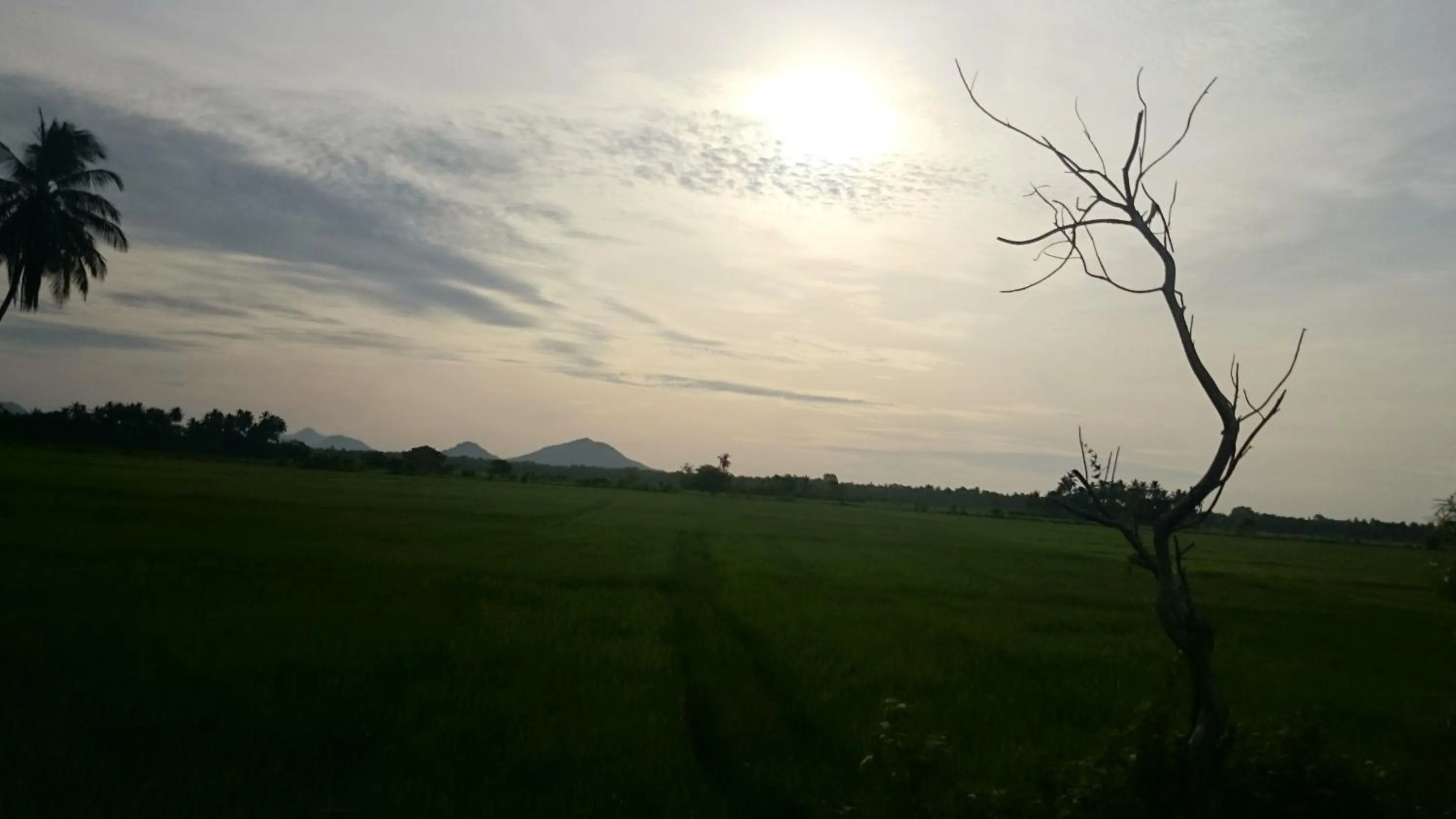 Sunrise in Wila Safari Hotel