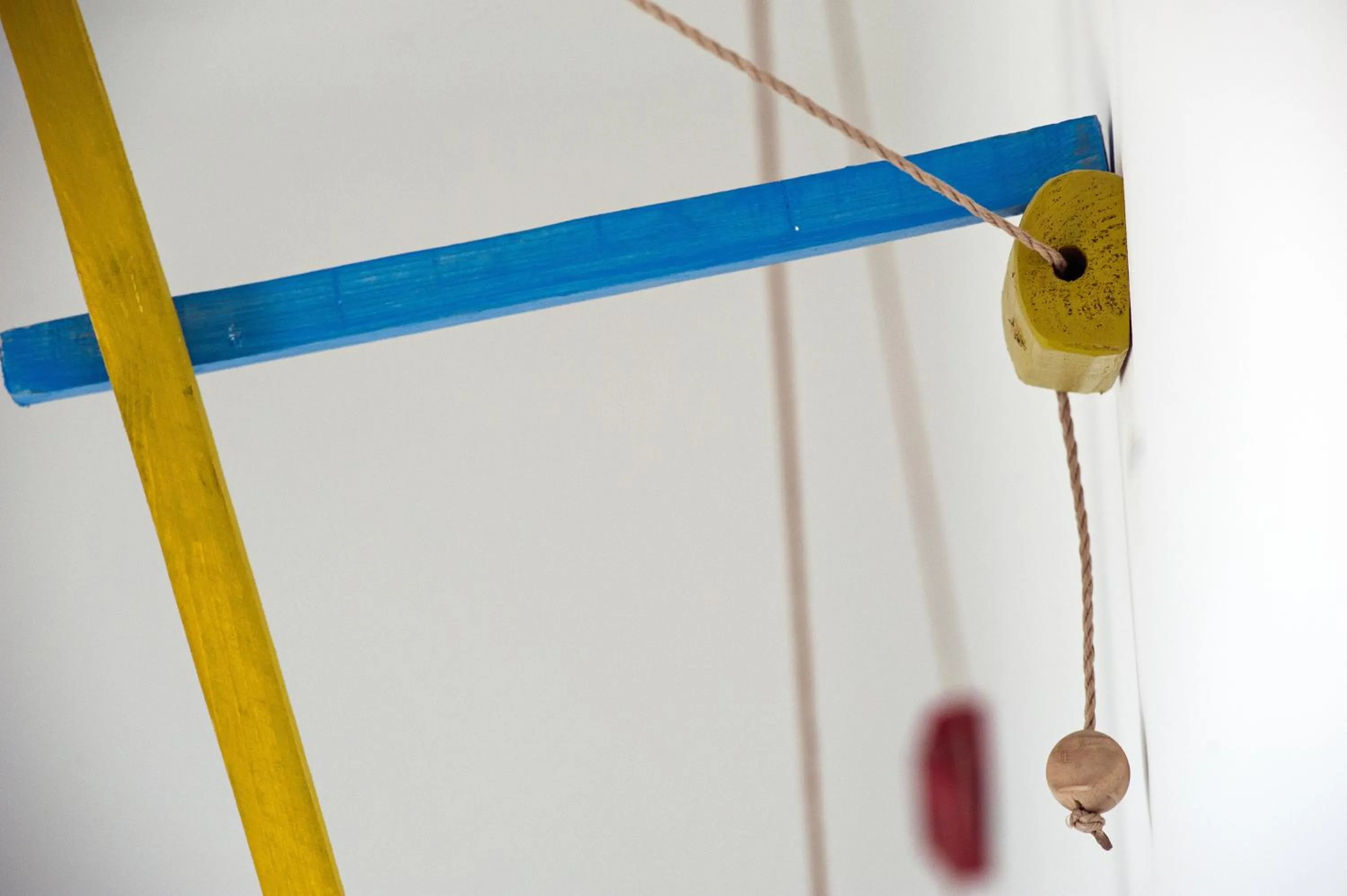 Other in La Quercia e l'Asino