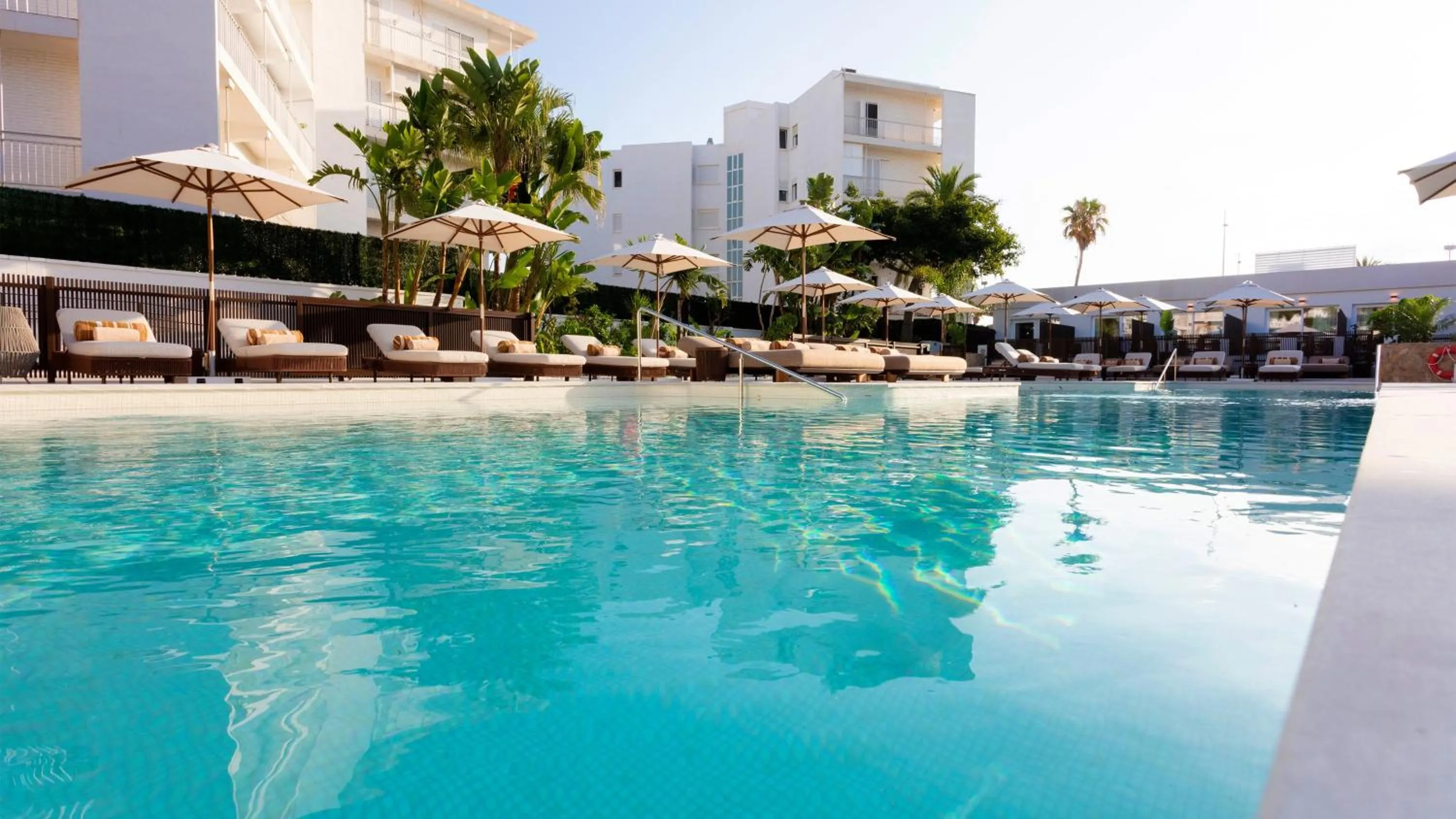 Swimming pool in Hotel Indigo Gandia Beach by IHG