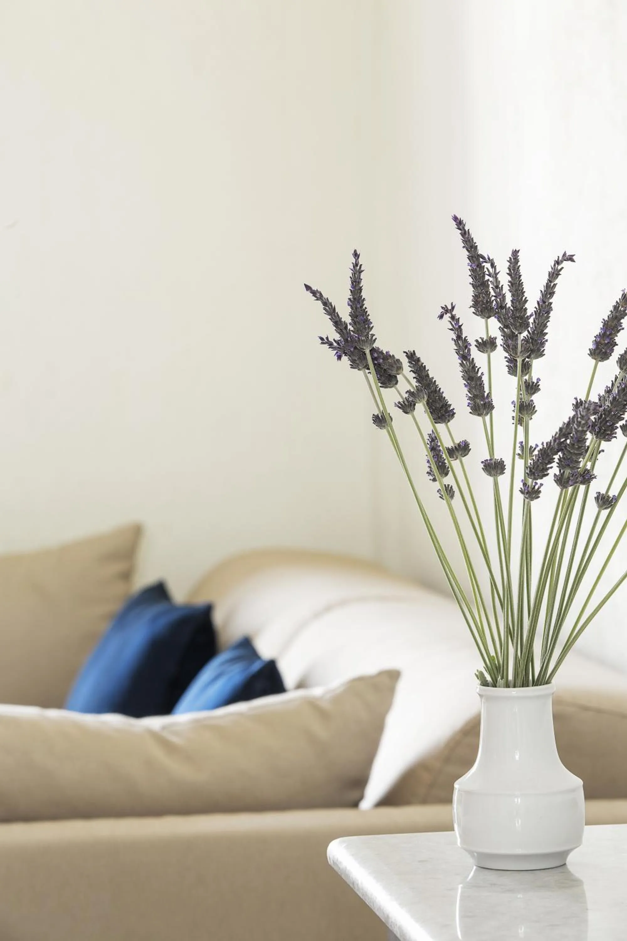 Lobby or reception in Contaratos Beach Hotel