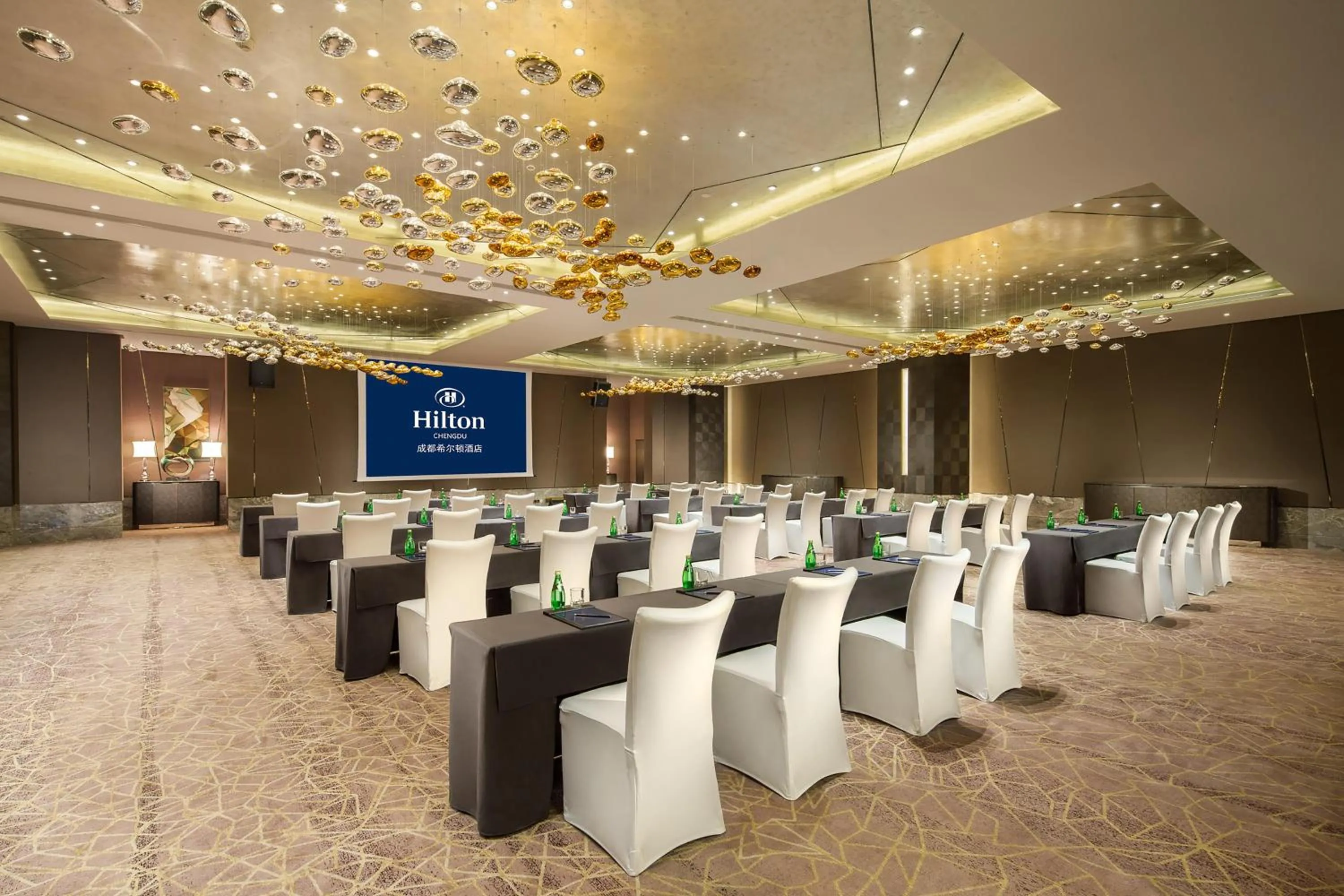 Meeting/conference room in Hilton Chengdu