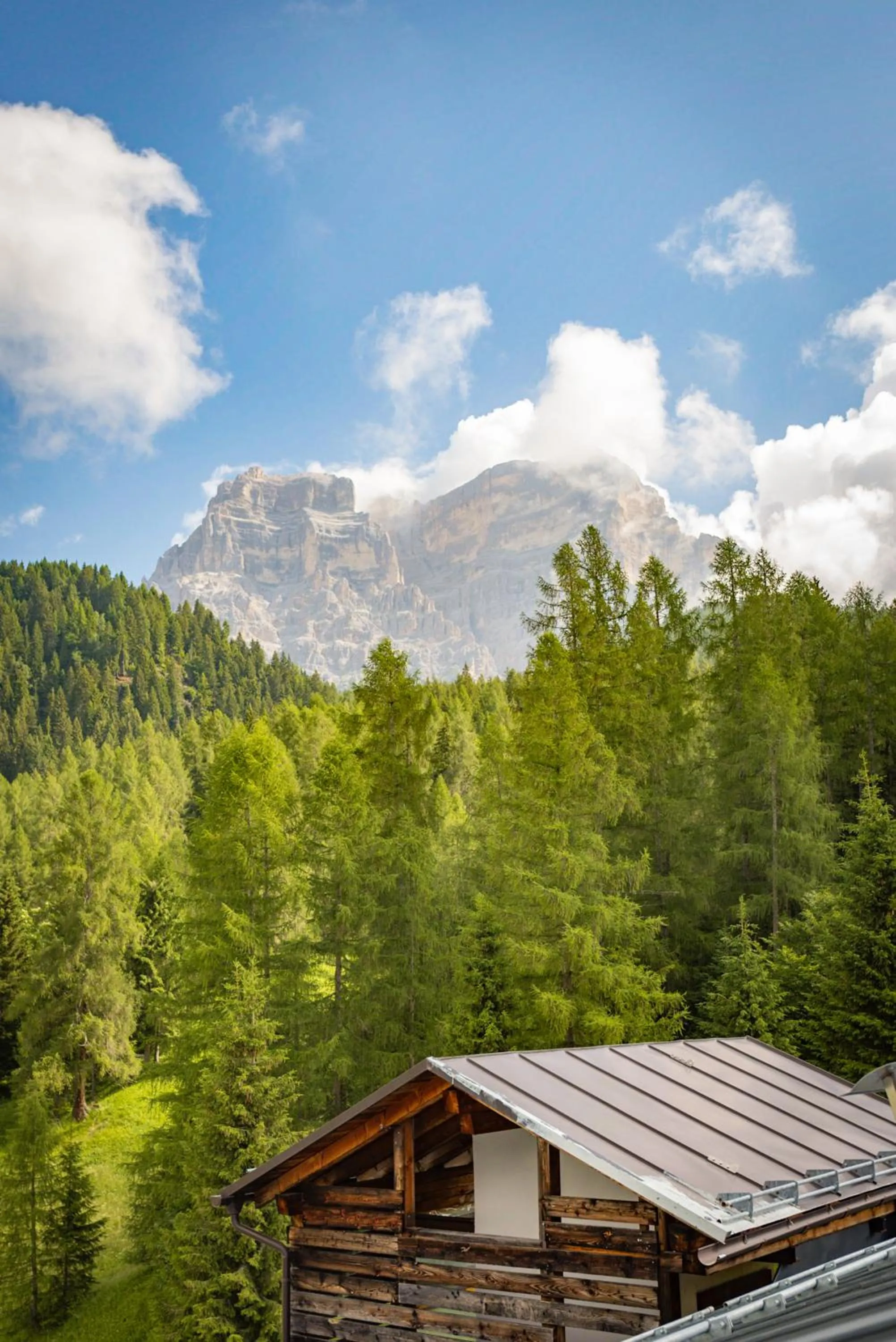Garden in Residence Panorama