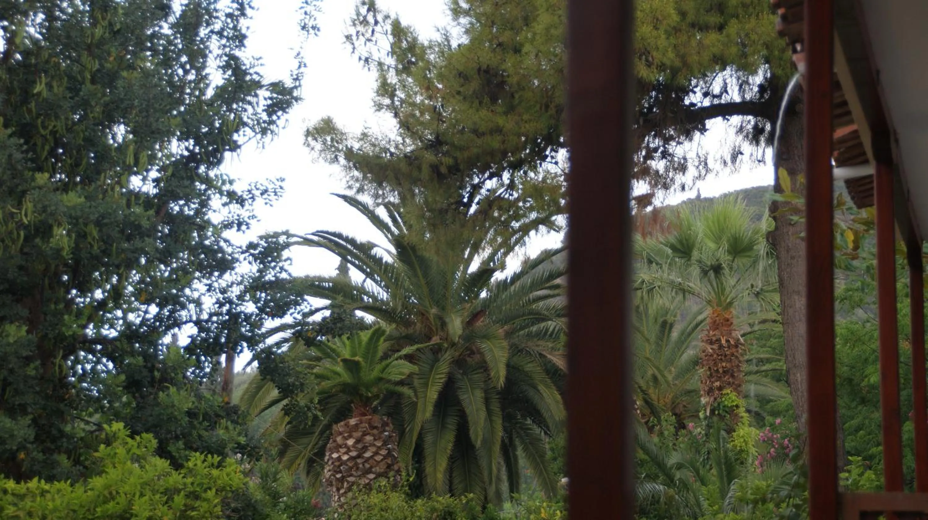 Garden in Villa Christina