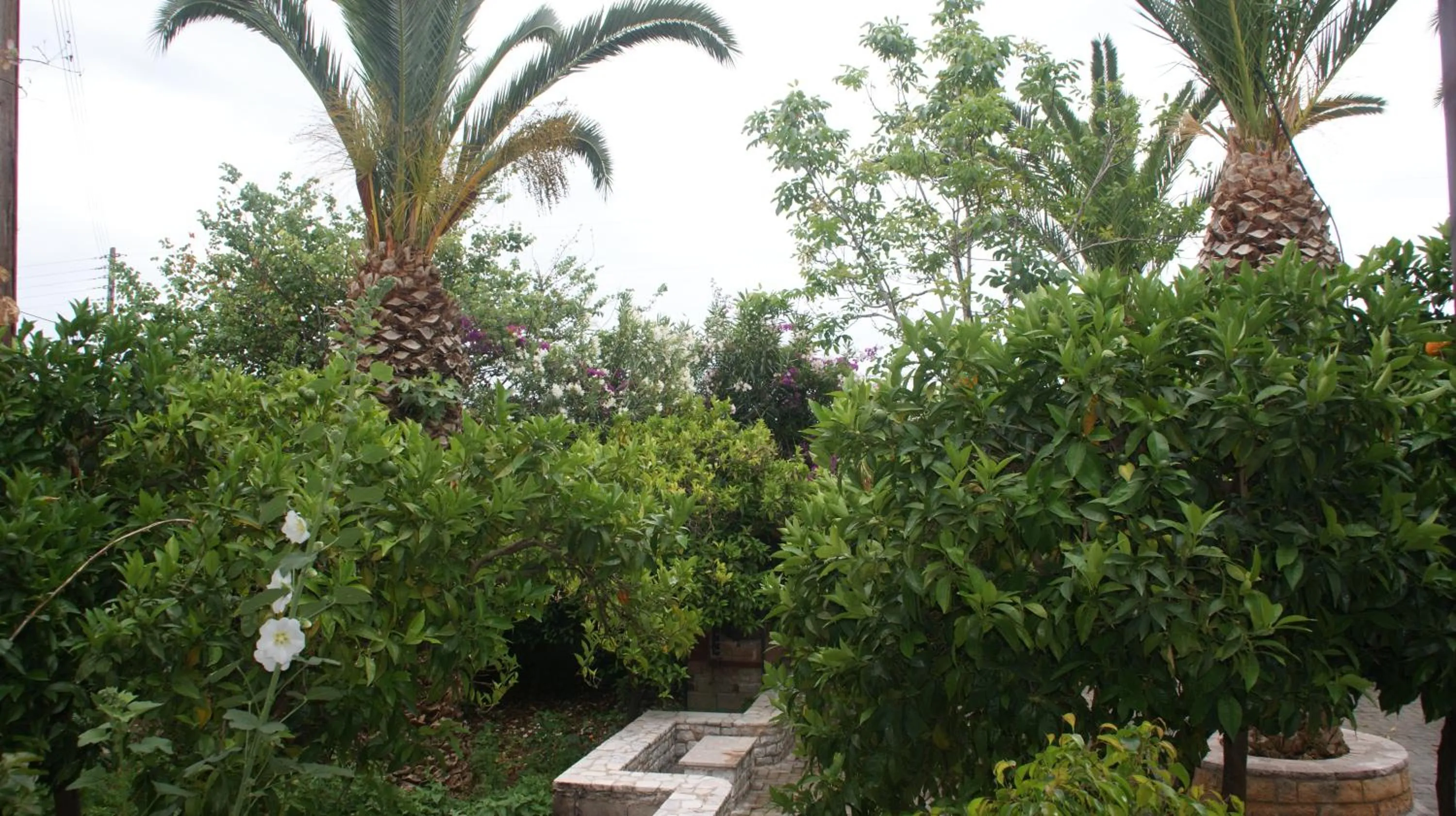 Garden in Villa Christina