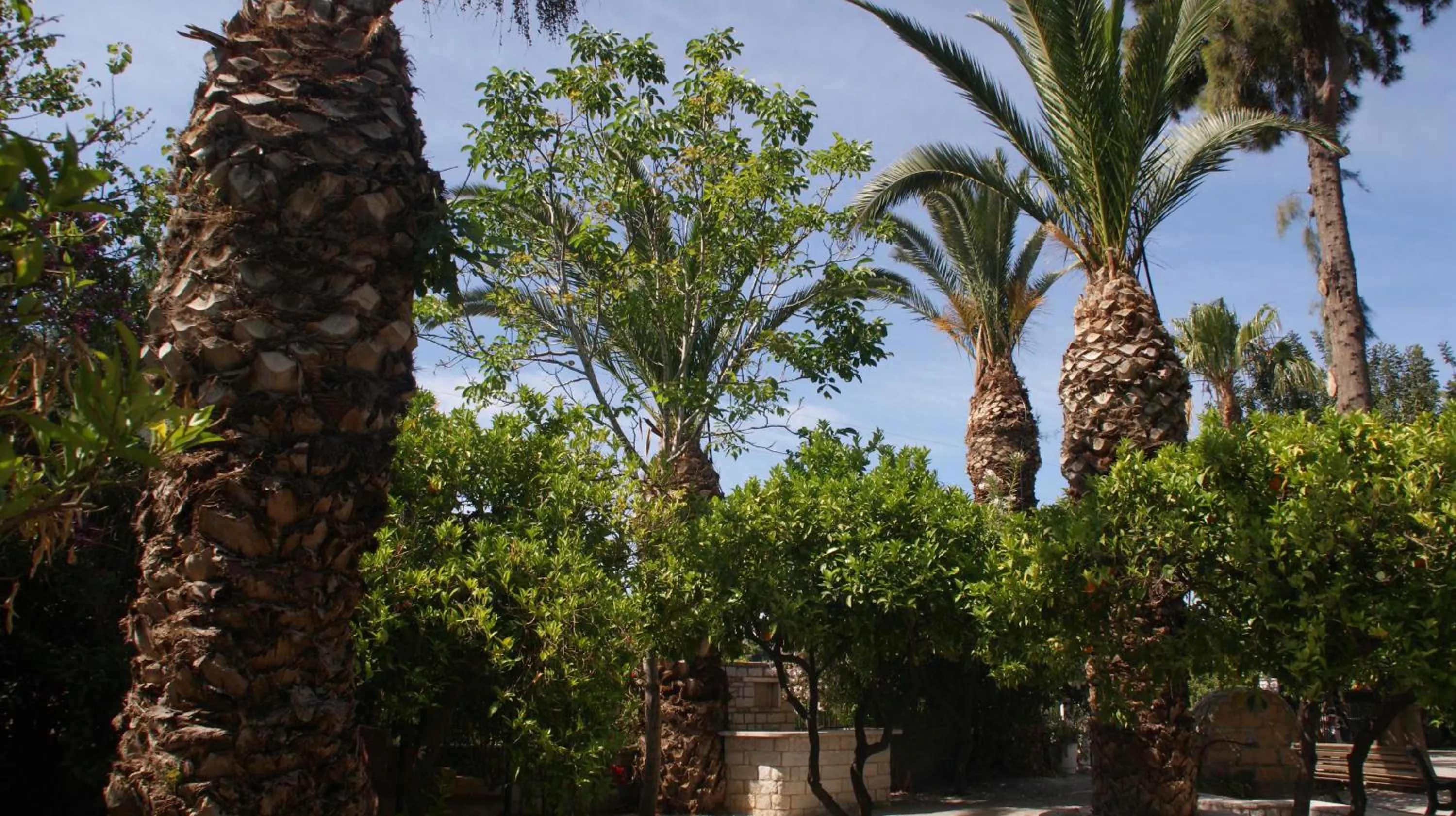 Garden in Villa Christina