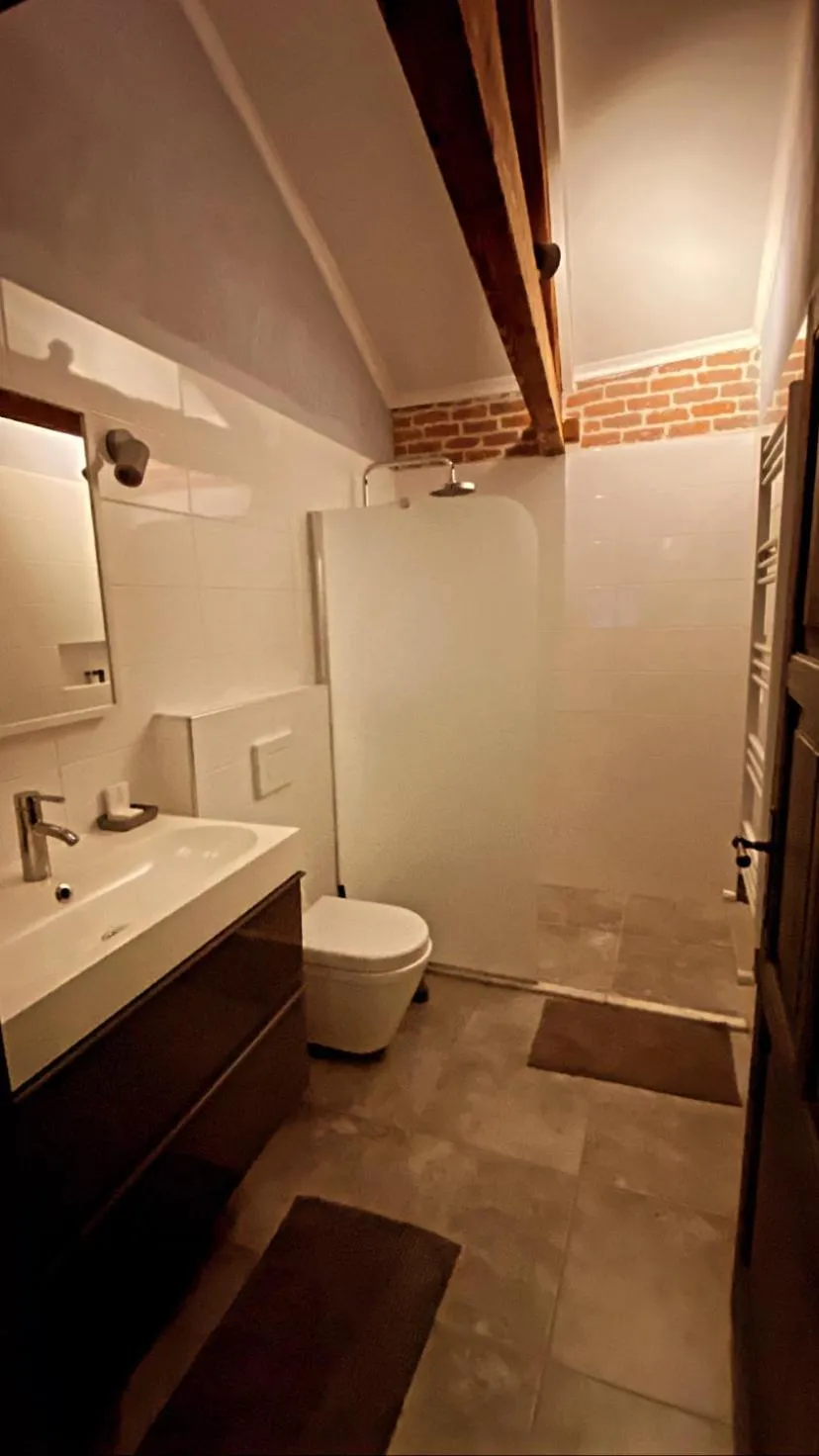 Shower in Attalos Suites Hotel