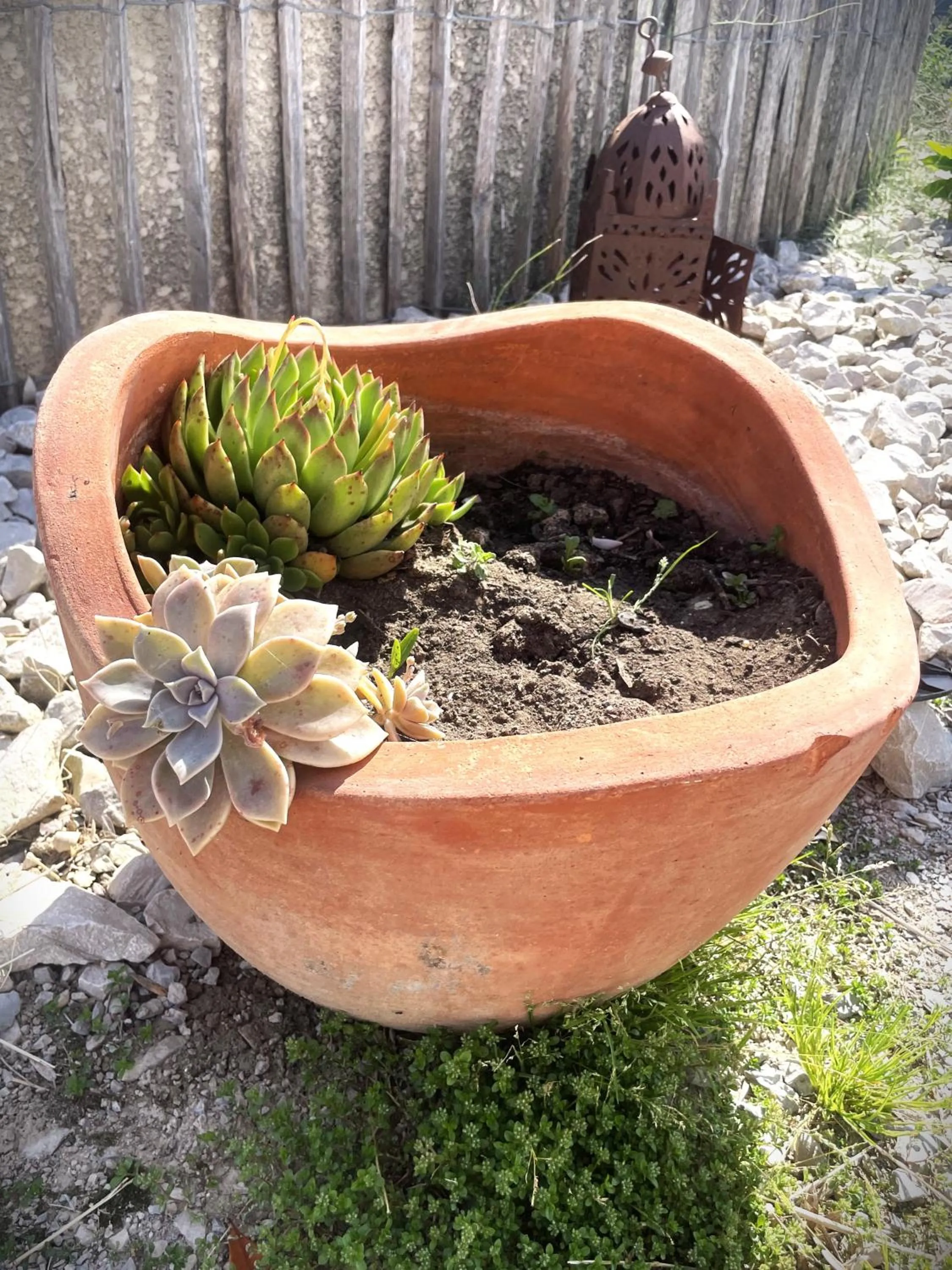 Le Mazet Chambre d'Hôtes