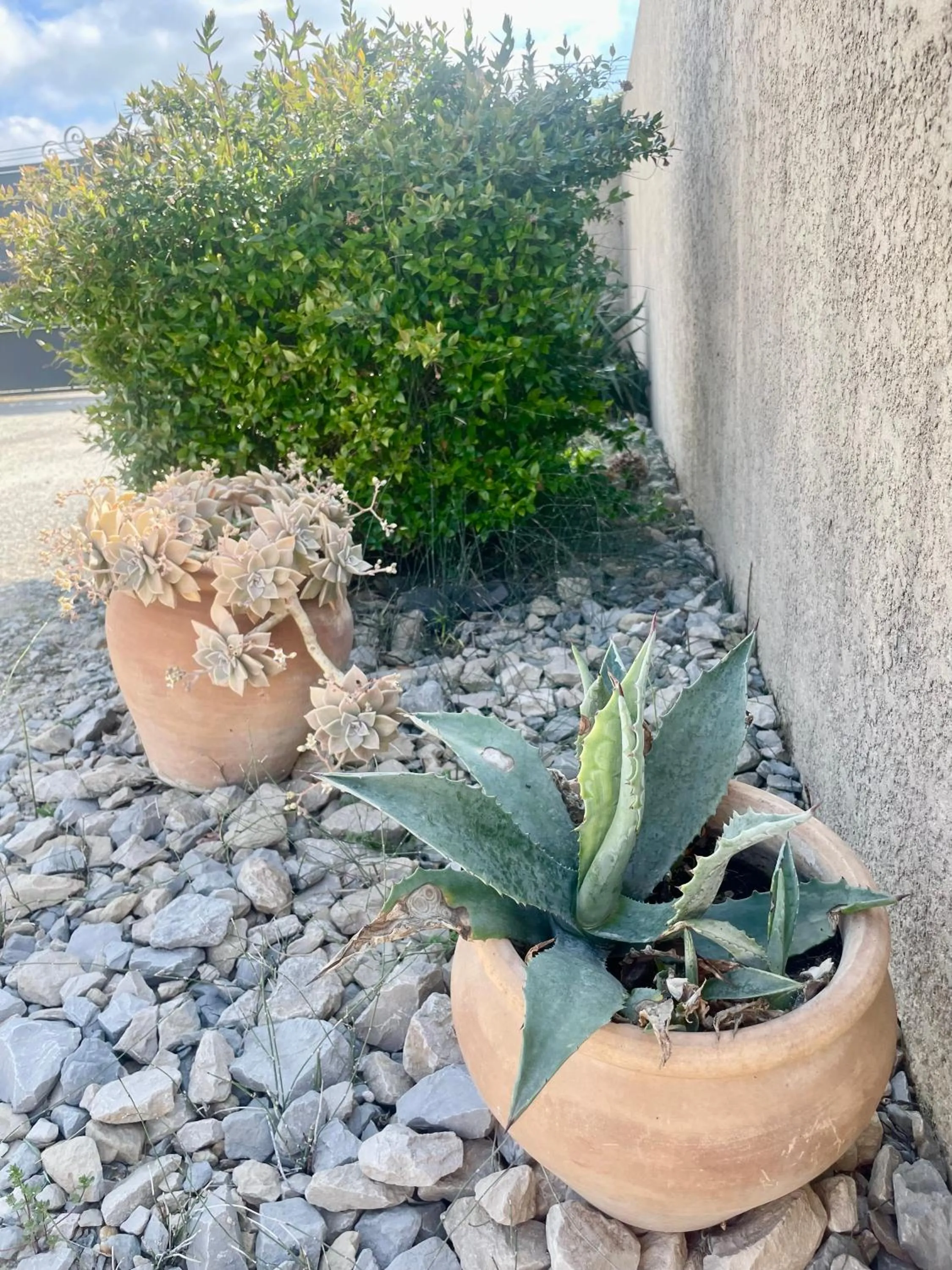 Spring in Le Mazet Chambre d'Hôtes