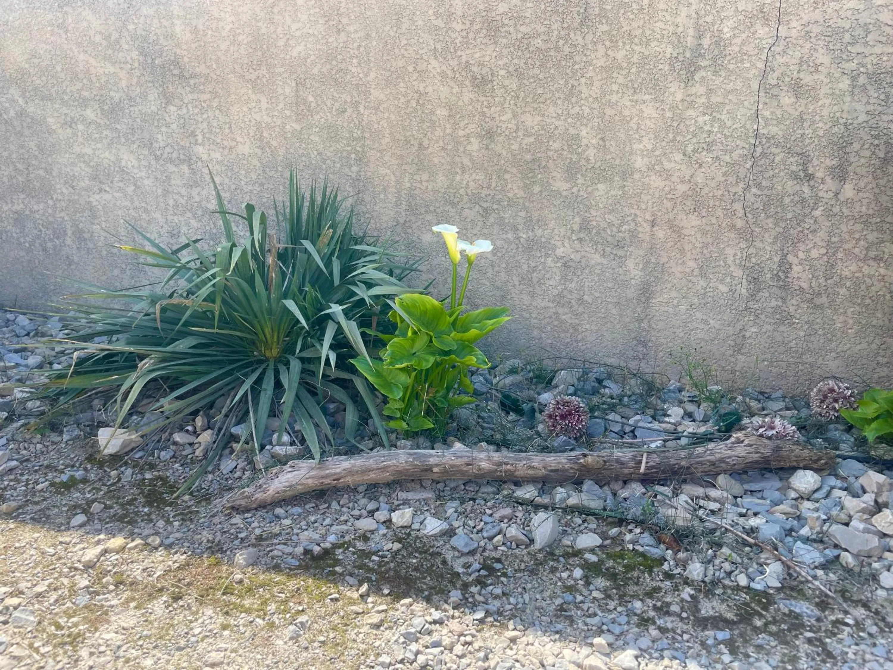 Le Mazet Chambre d'Hôtes