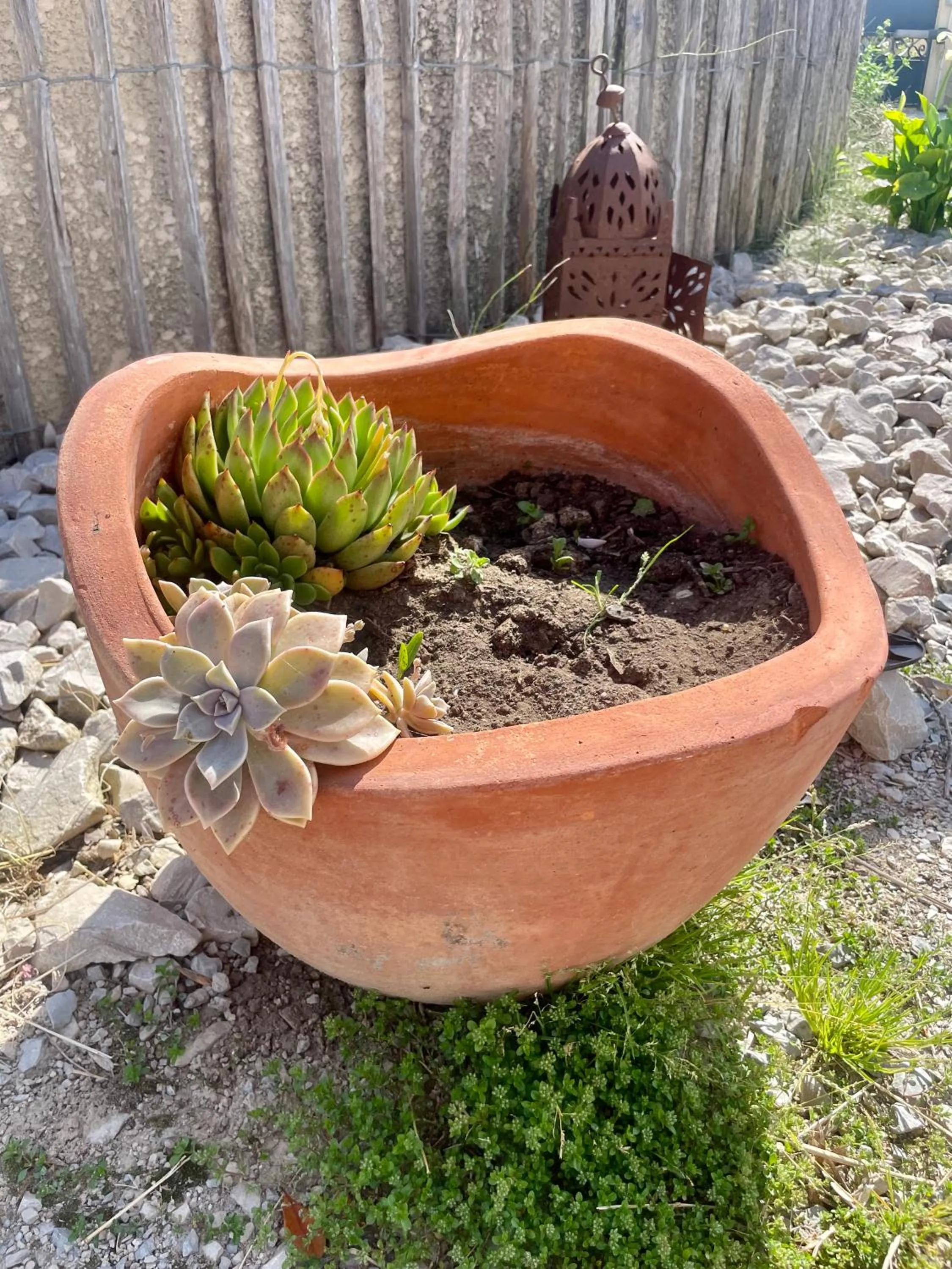Garden in Le Mazet Chambre d'Hôtes