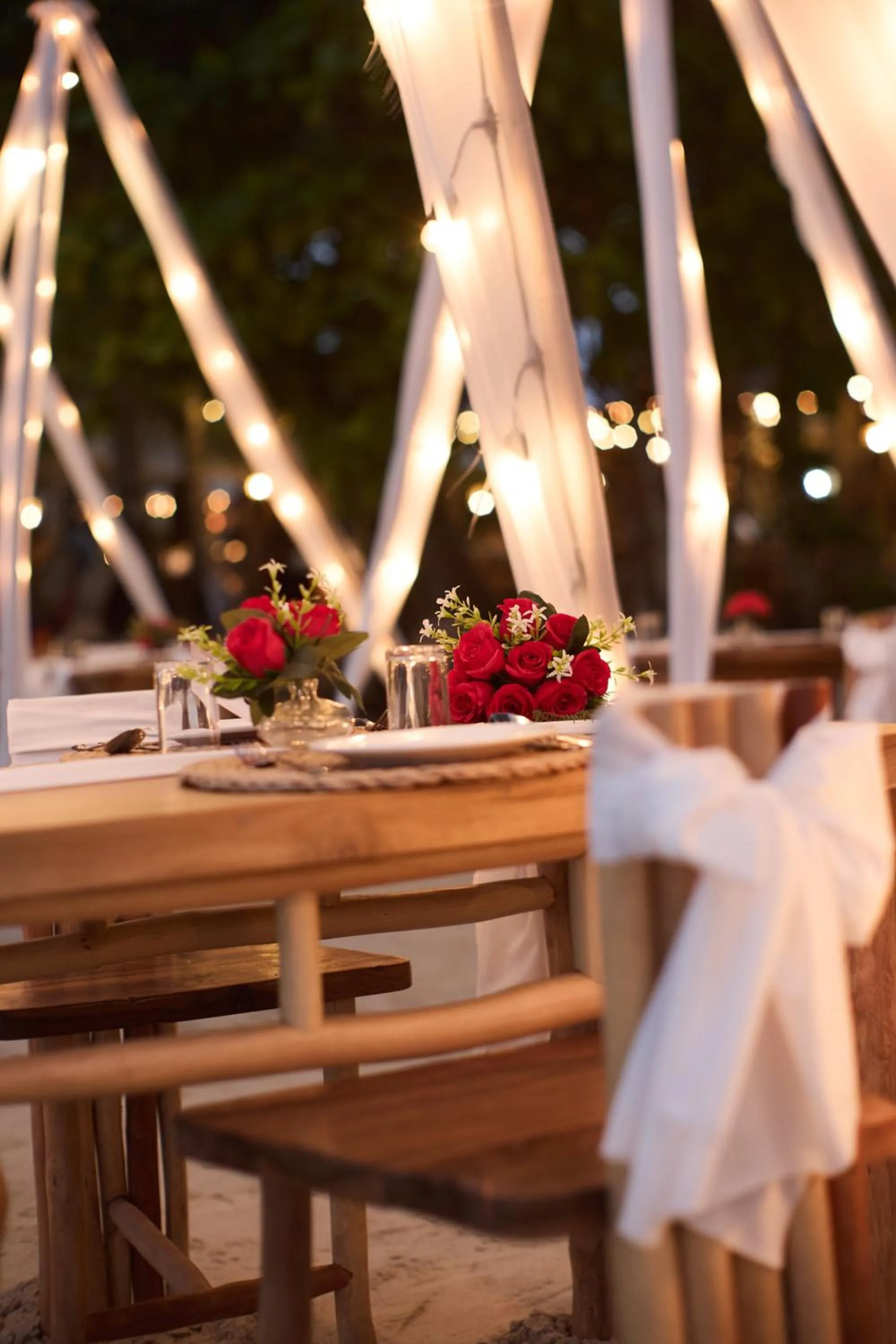 The Survival by Seudam