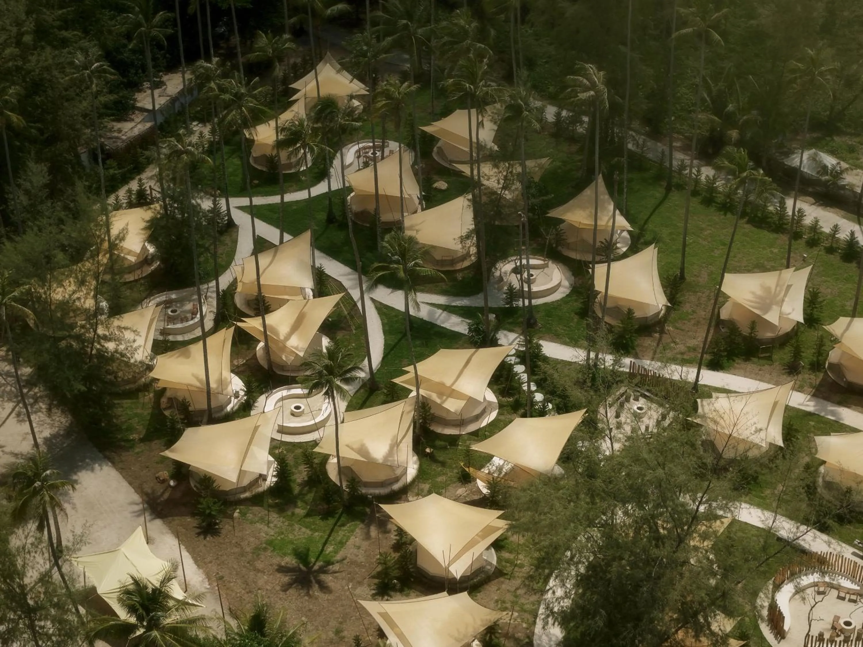 The Survival by Seudam