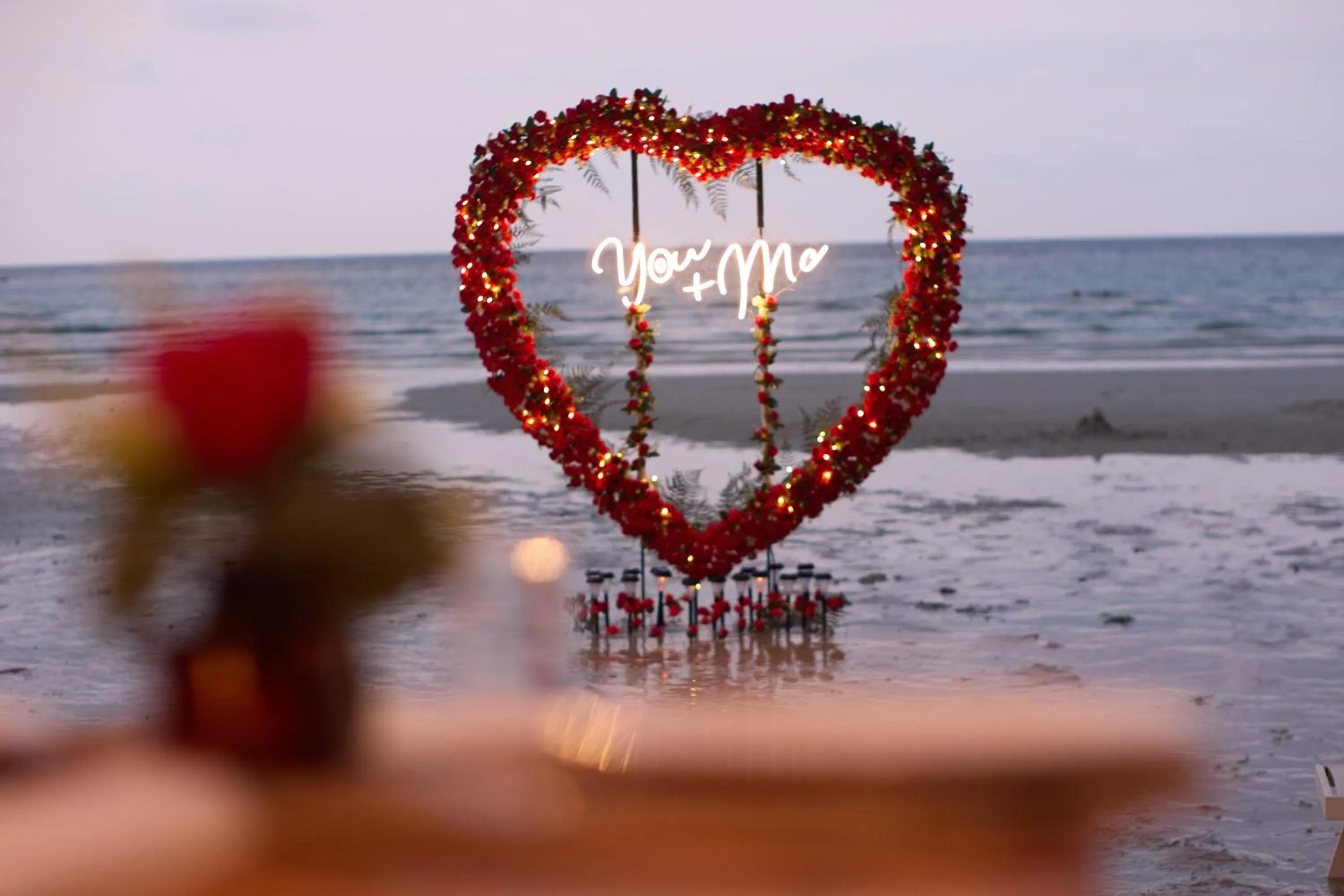 The Survival by Seudam