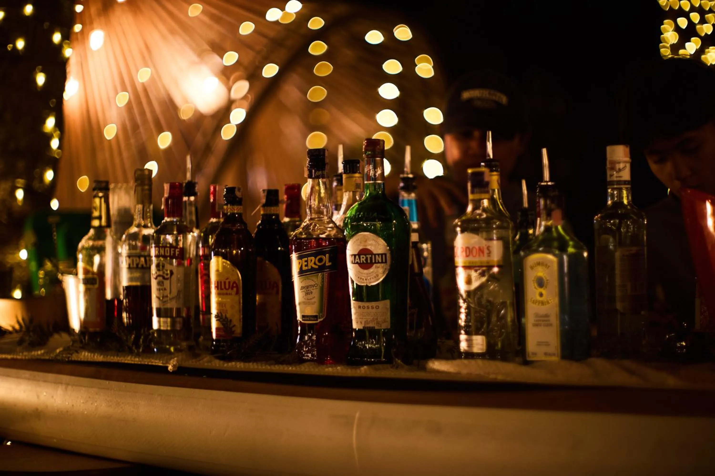 The Survival by Seudam