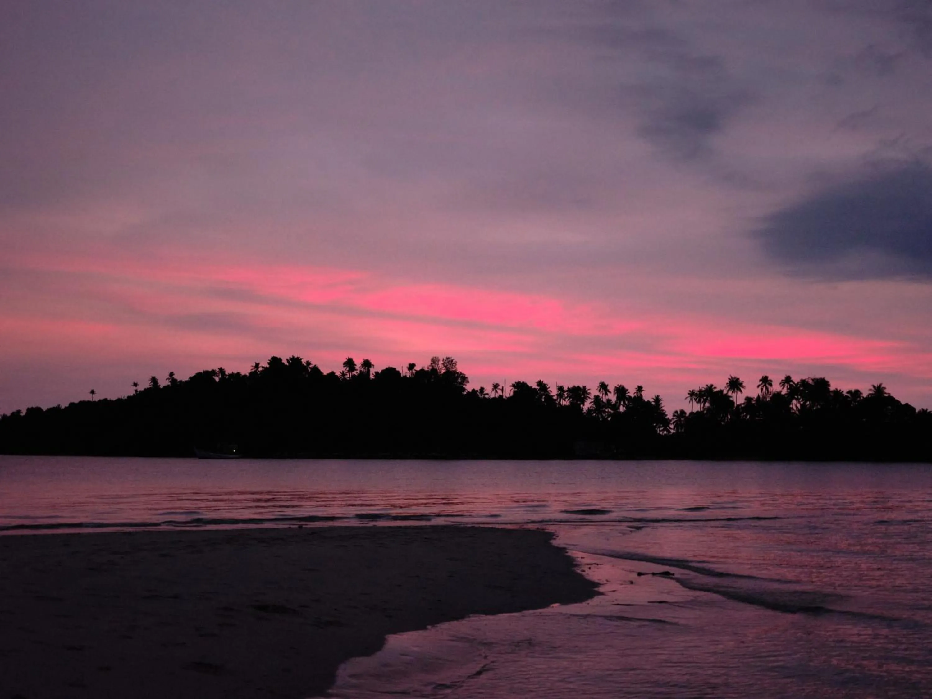 The Survival by Seudam