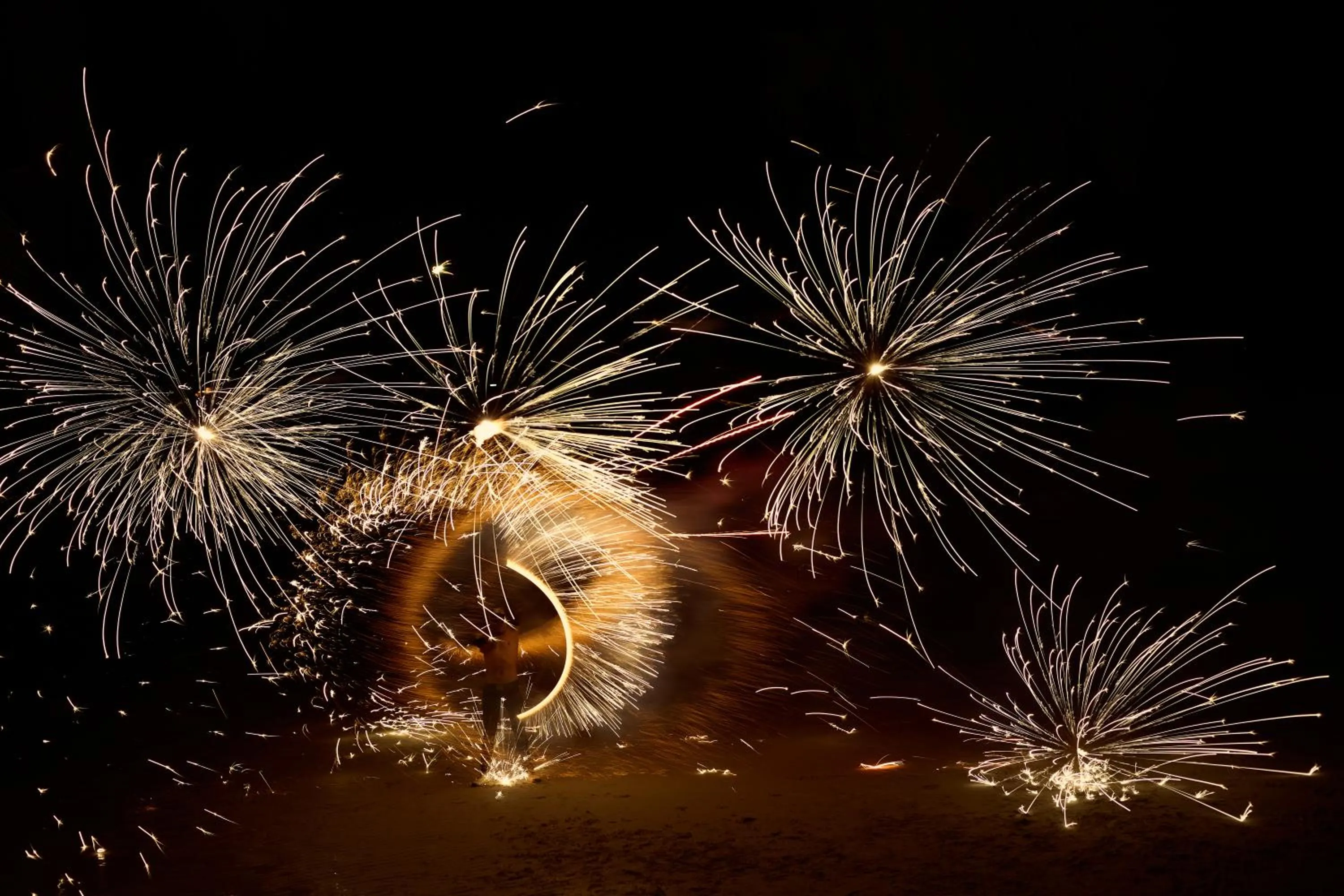 The Survival by Seudam