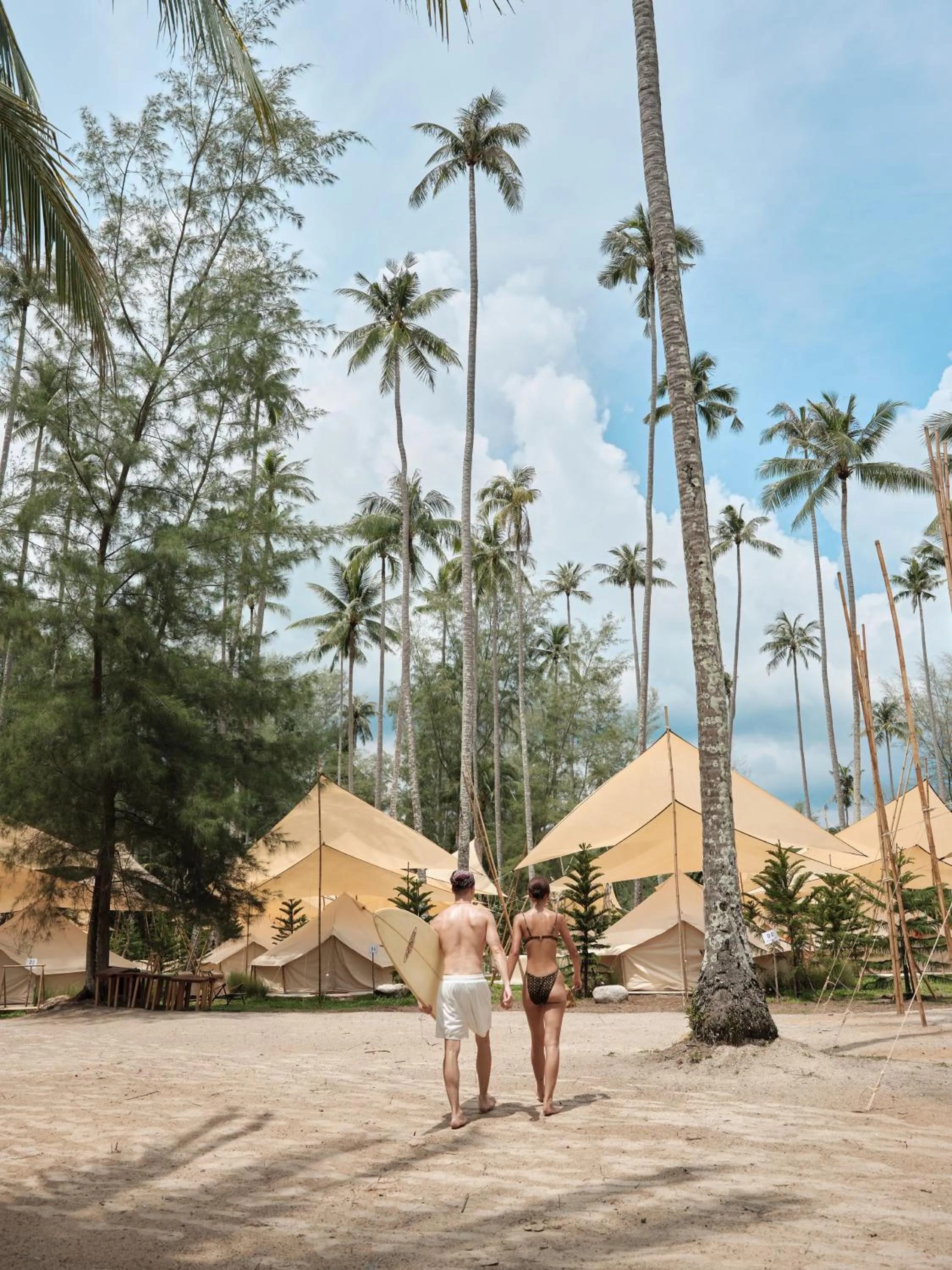 The Survival by Seudam